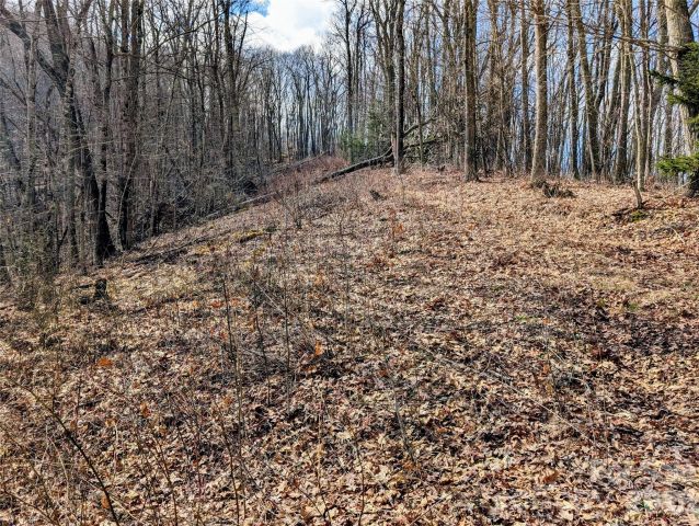 #49 Hazel Top Section, Teaberry Ridge Road, Waynesville, NC, 28786