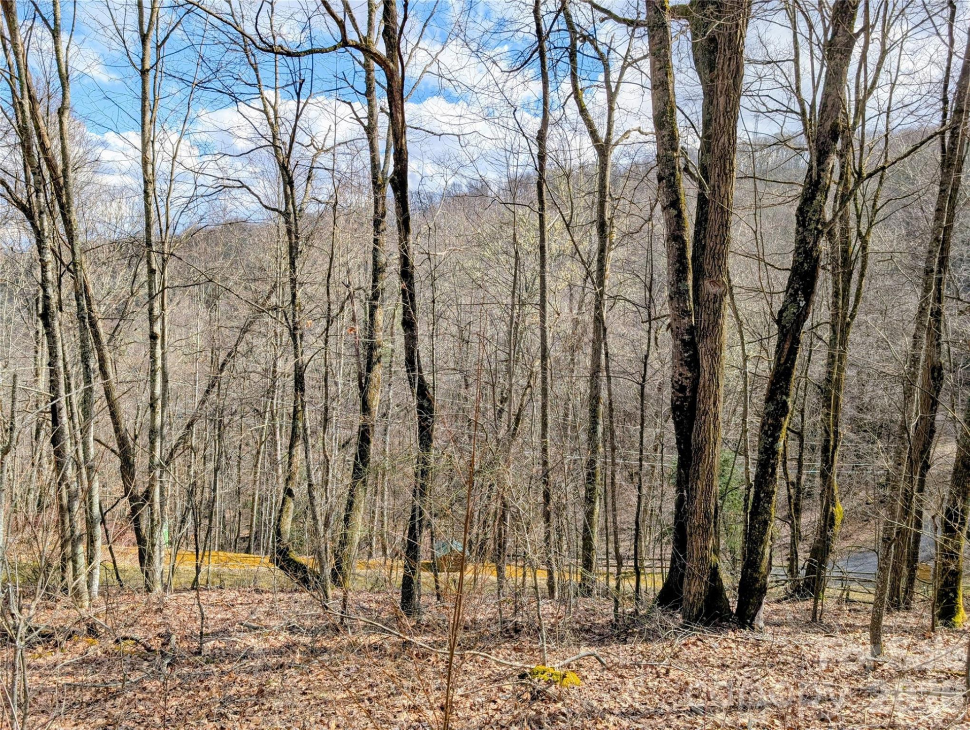 #49 Hazel Top Section, Teaberry Ridge Road - Photo 2