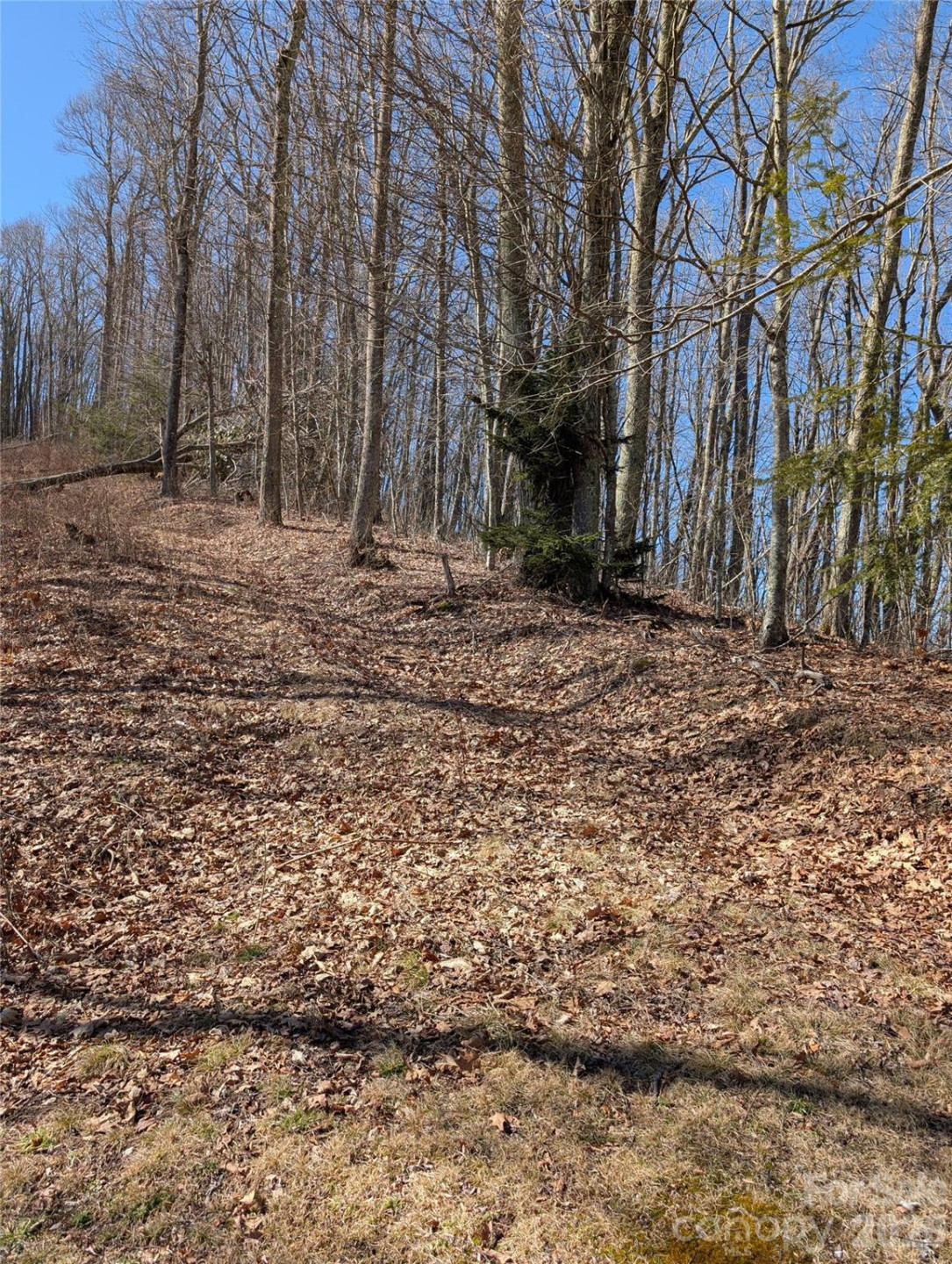 #49 Hazel Top Section, Teaberry Ridge Road - Photo 11