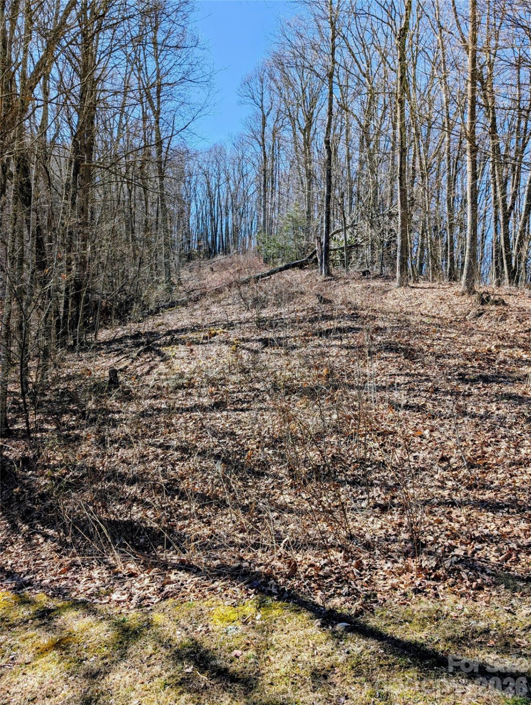 #49 Hazel Top Section, Teaberry Ridge Road - Photo 3