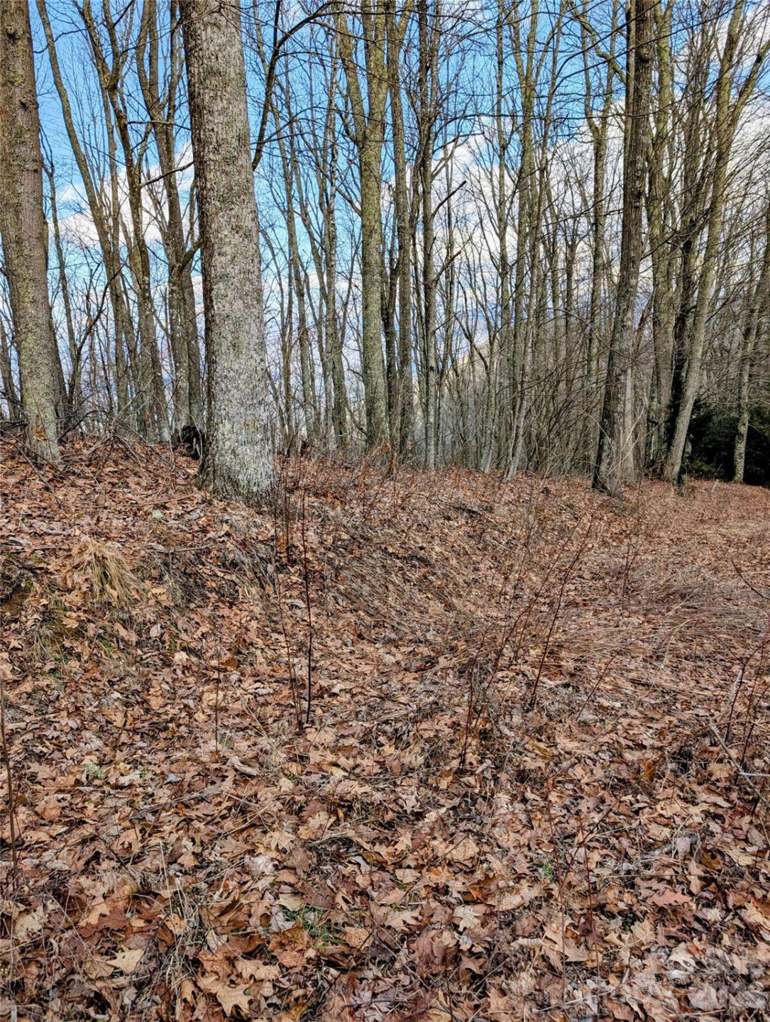 #49 Hazel Top Section, Teaberry Ridge Road - Photo 5