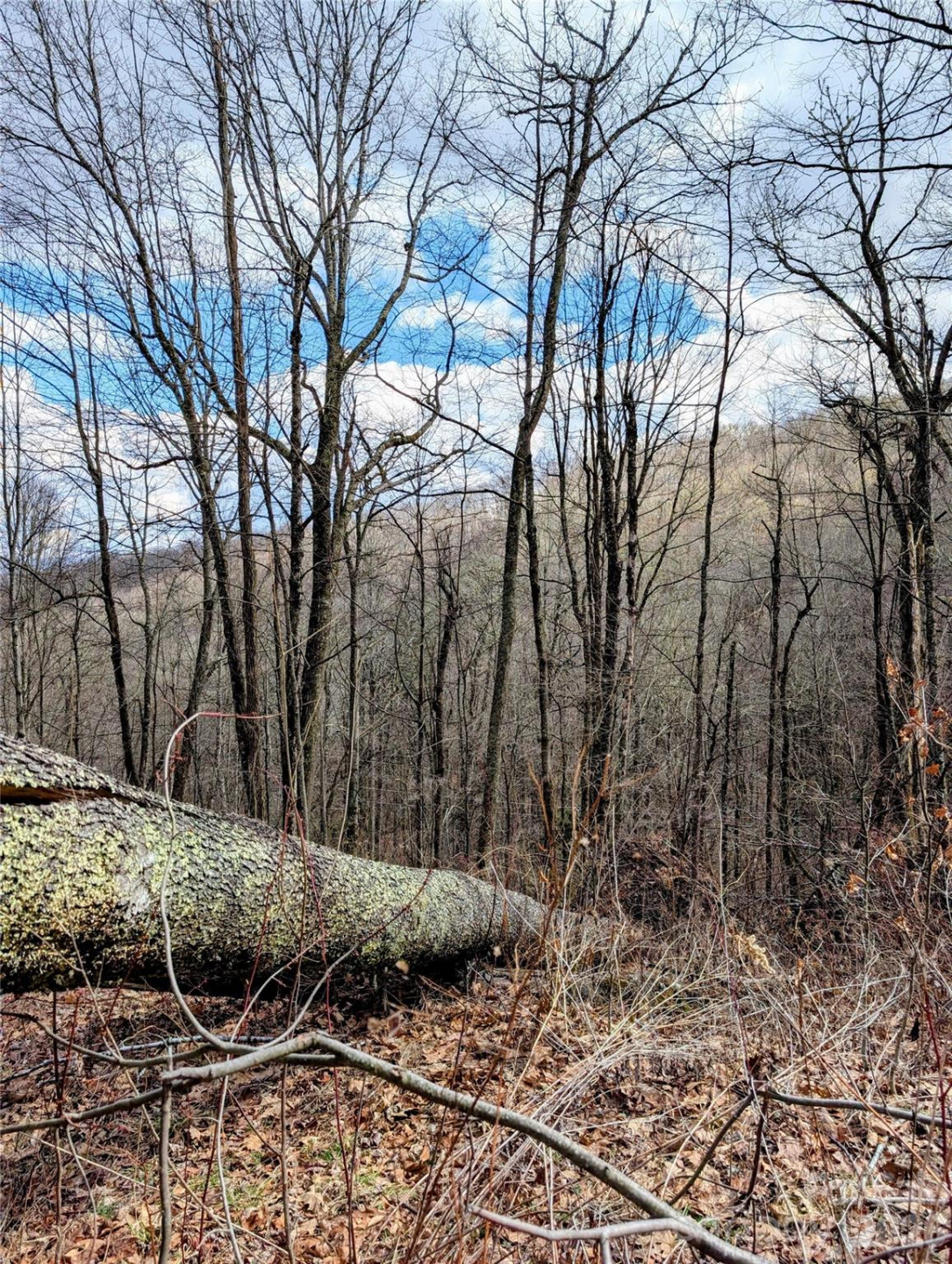 #49 Hazel Top Section, Teaberry Ridge Road - Photo 6