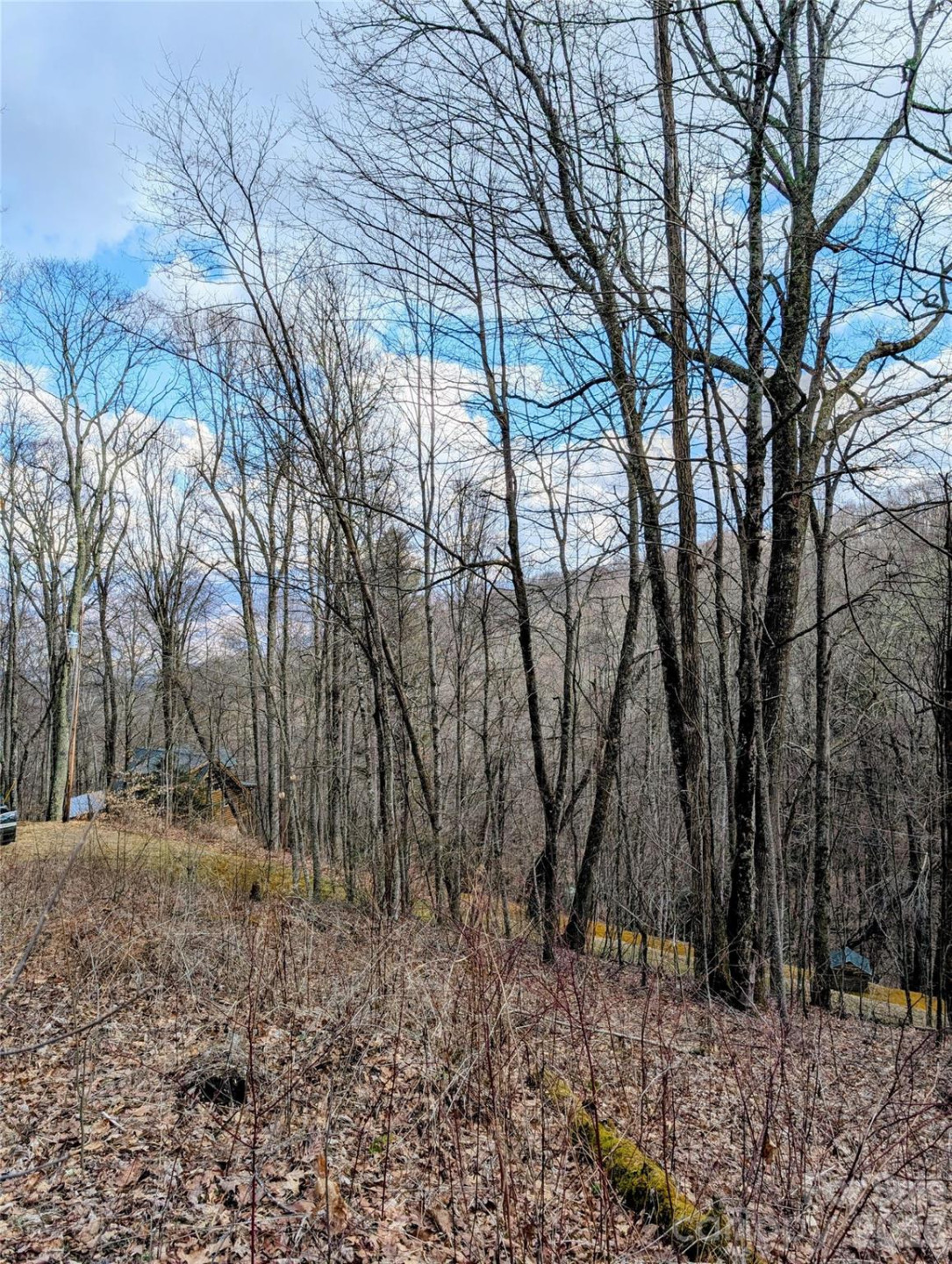 #49 Hazel Top Section, Teaberry Ridge Road - Photo 7