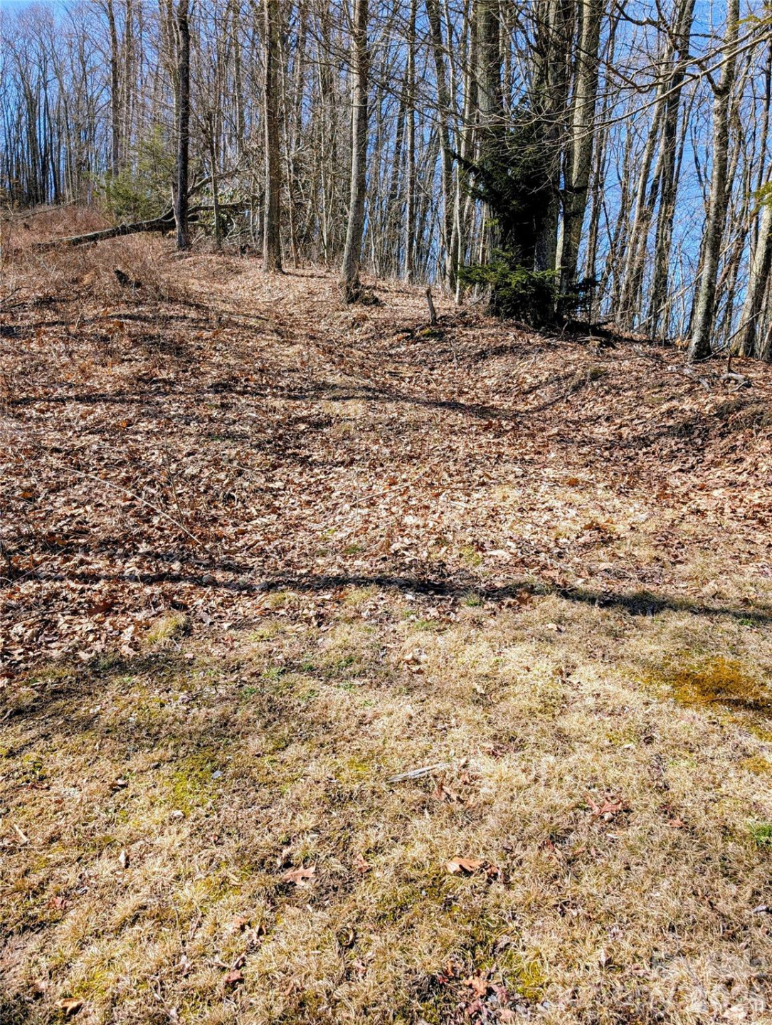 #49 Hazel Top Section, Teaberry Ridge Road - Photo 8