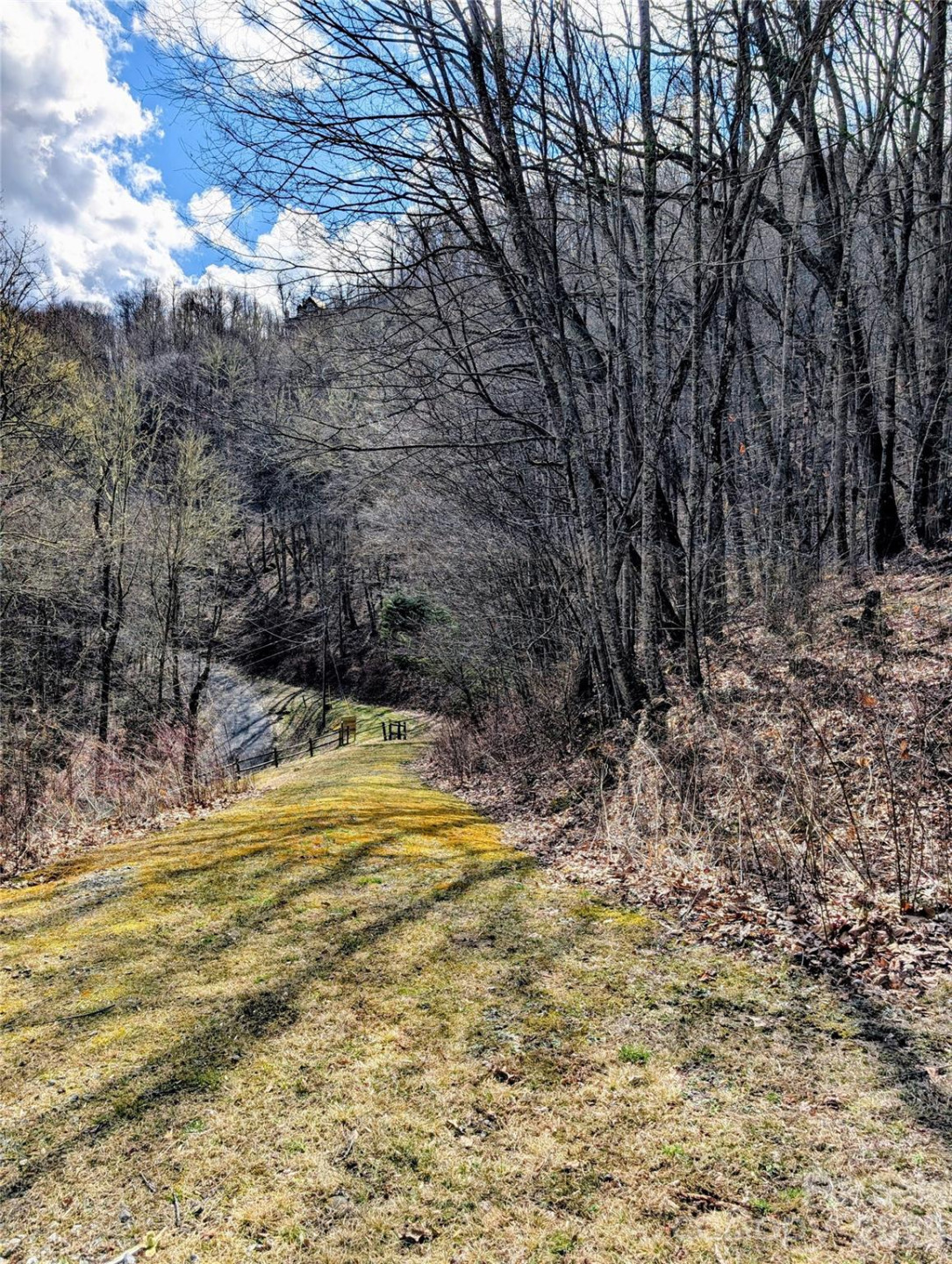 #49 Hazel Top Section, Teaberry Ridge Road - Photo 9