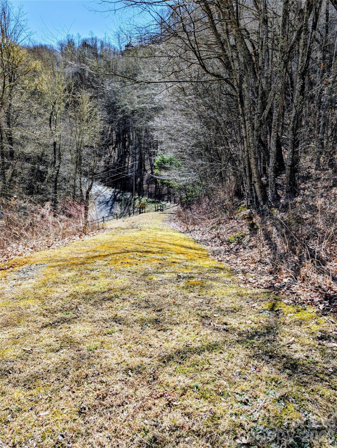 #49 Hazel Top Section, Teaberry Ridge Road - Photo 10