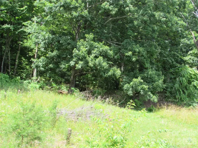 #6 Mystic View Lane, Black Mountain, NC, 28711