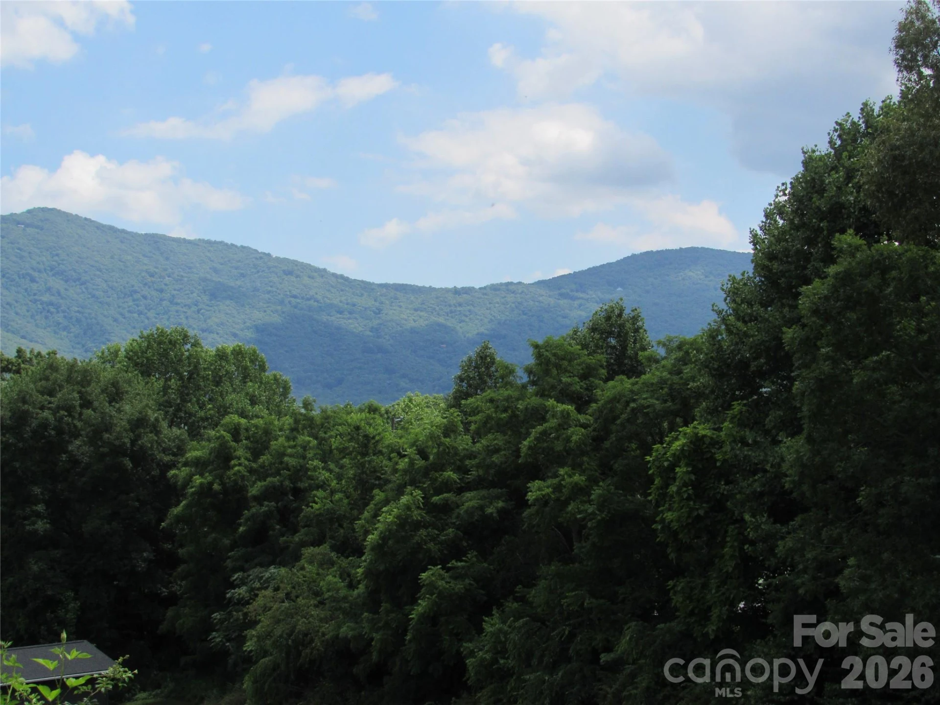 #6 Mystic View Lane - Photo 2
