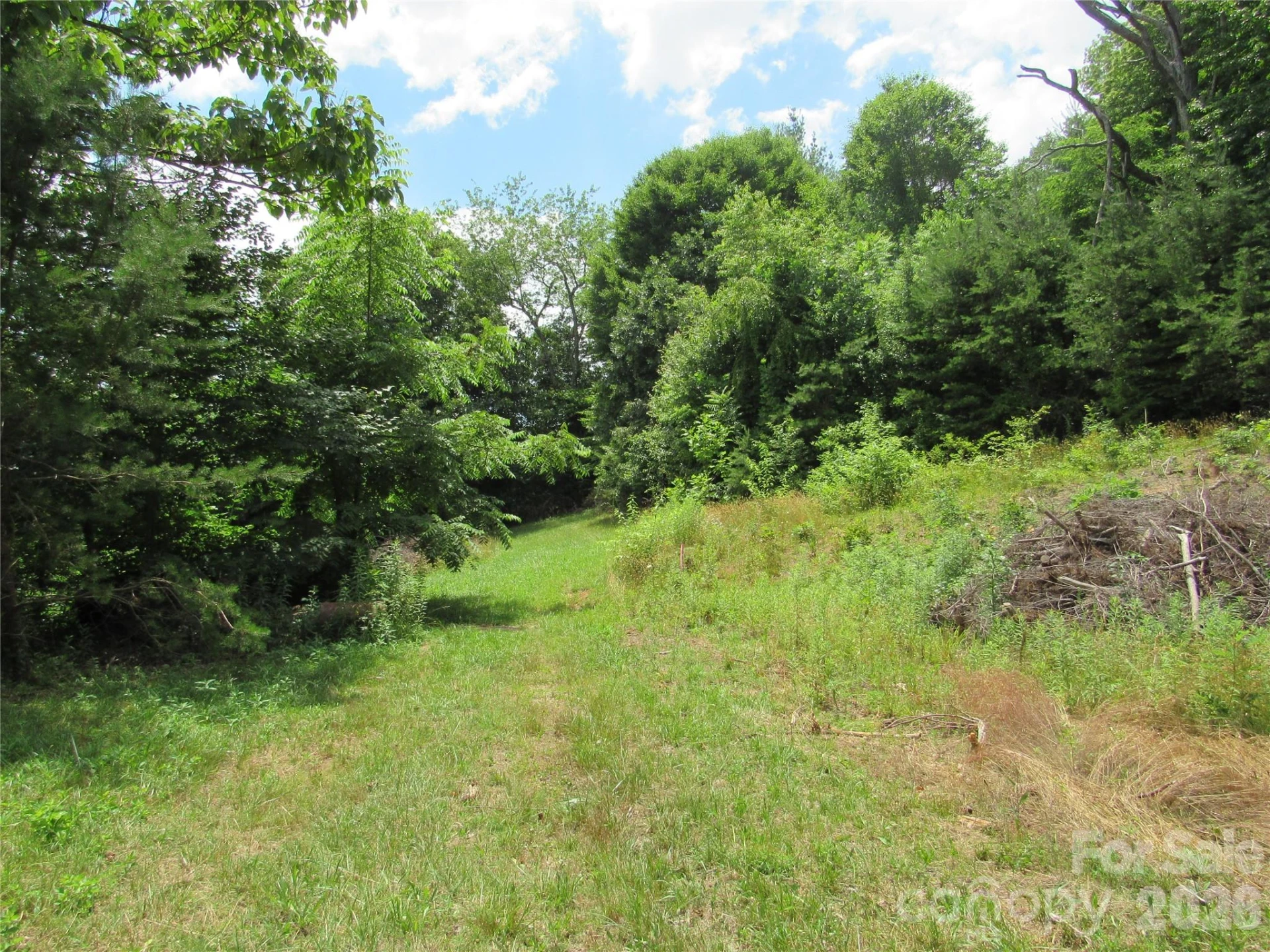 #6 Mystic View Lane - Photo 3