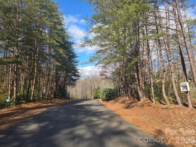 Lot 44 Dalton Court, Lake Lure, NC, 28746