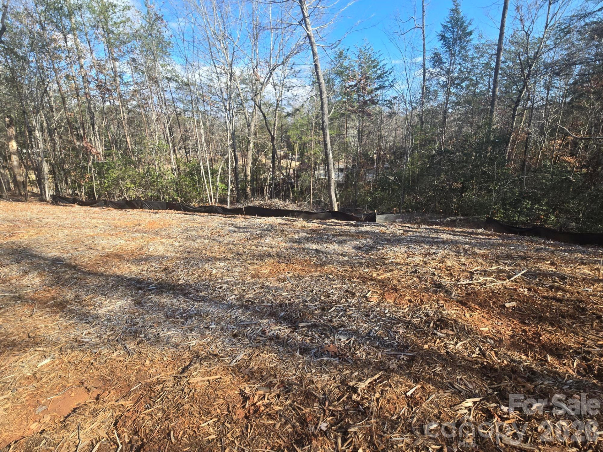 Lot 44 Dalton Court - Photo 5