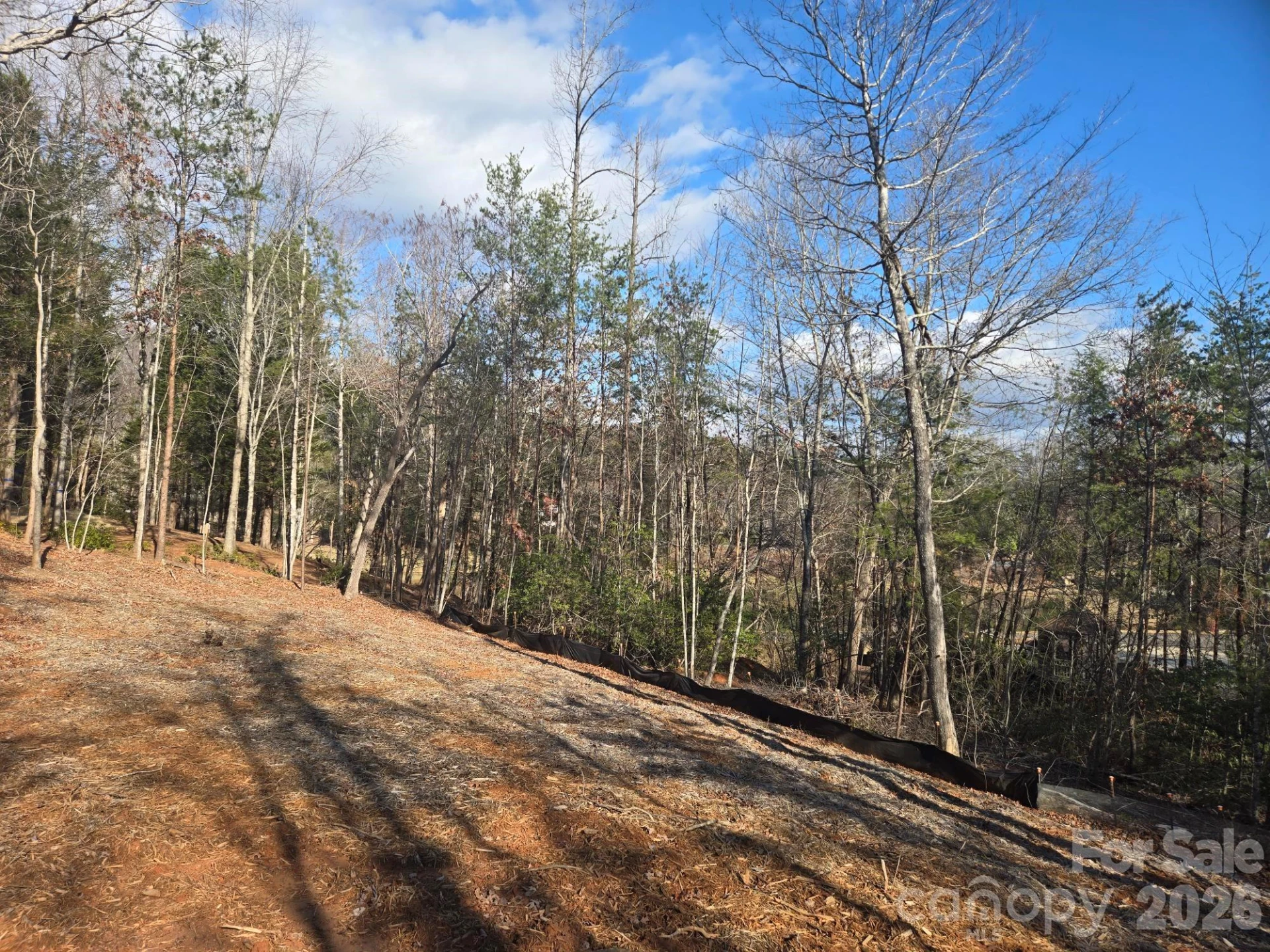 Lot 44 Dalton Court - Photo 10