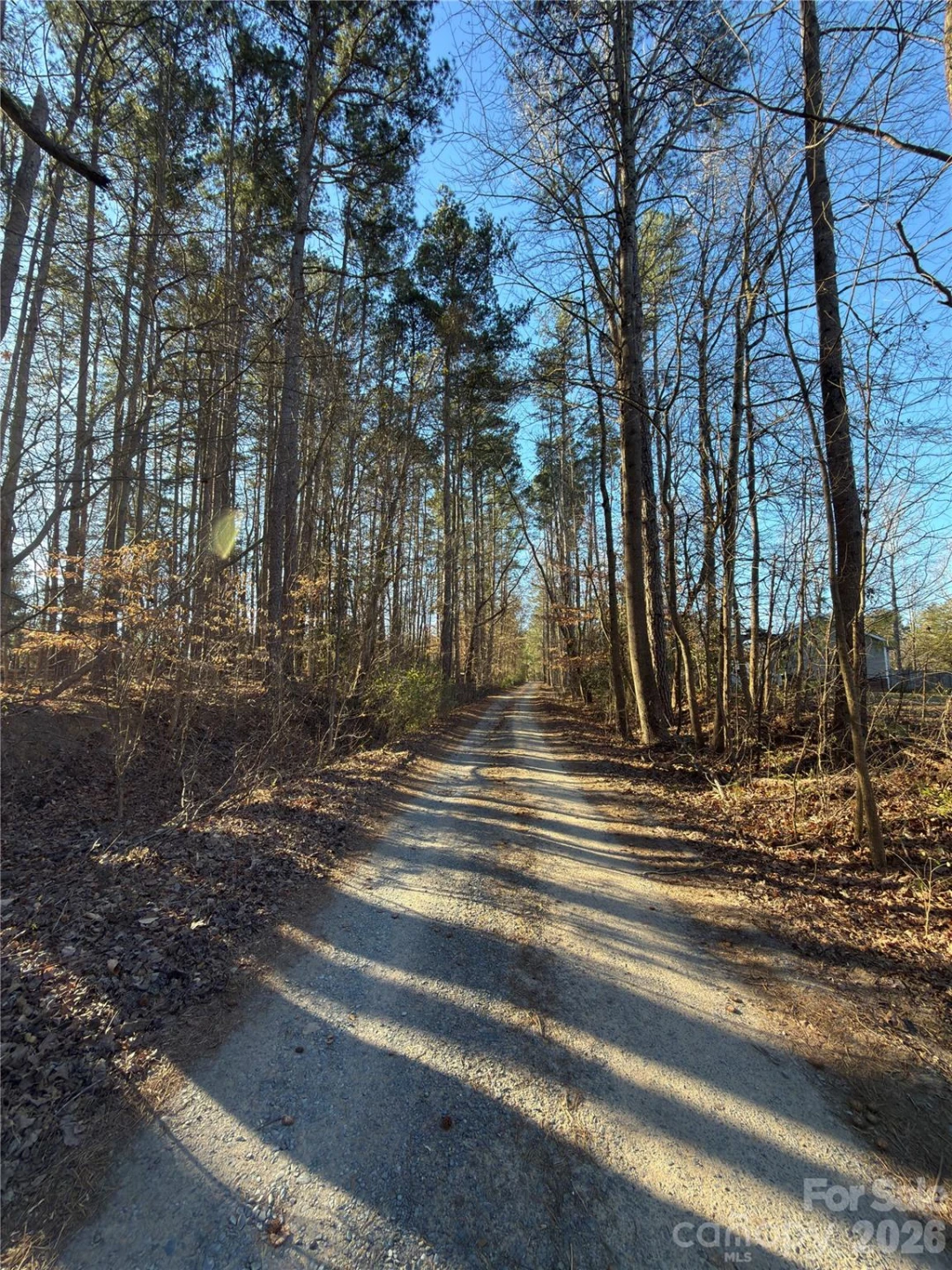 1232 Long Farm Lane - Photo 12