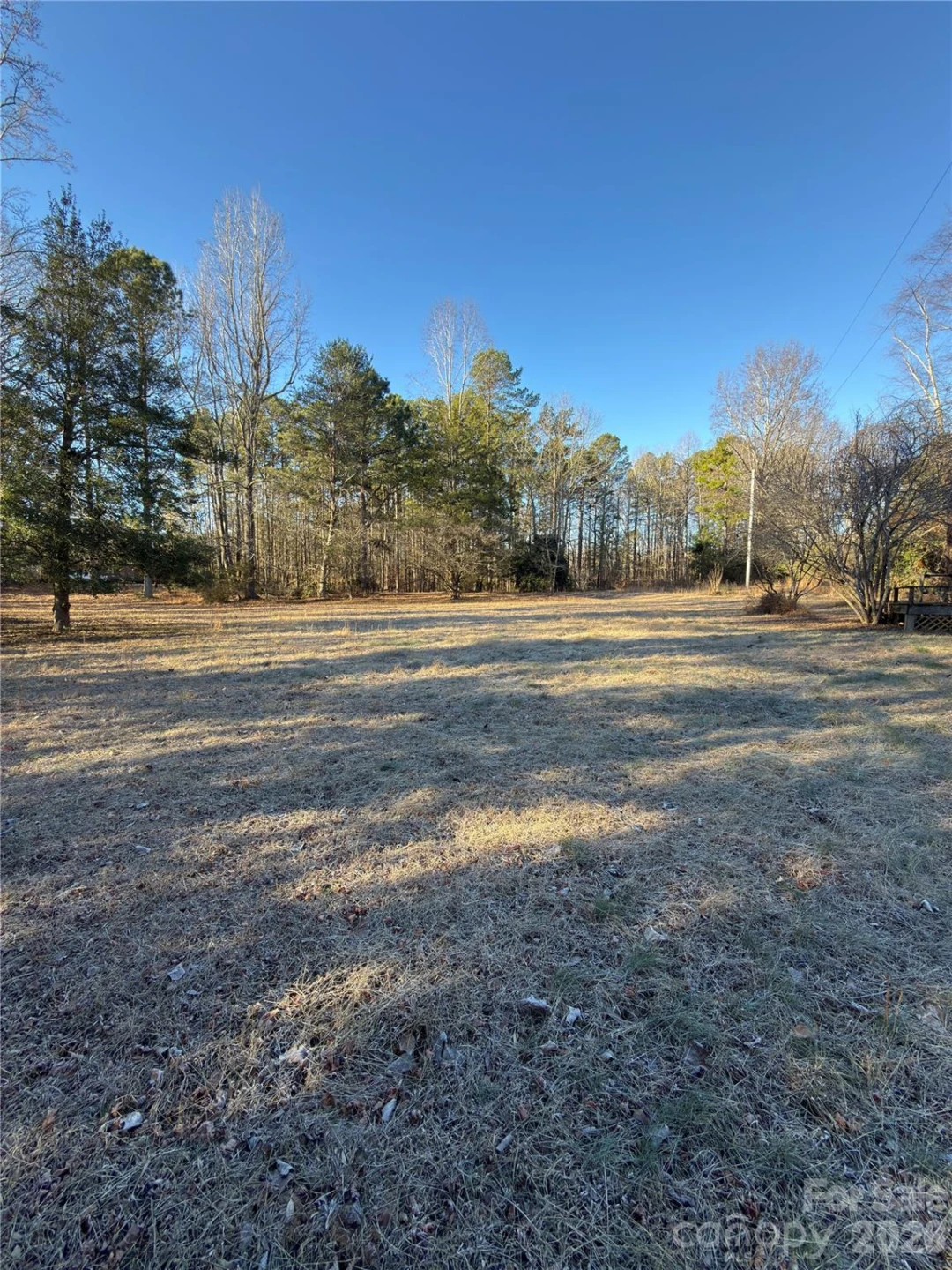 1232 Long Farm Lane - Photo 4