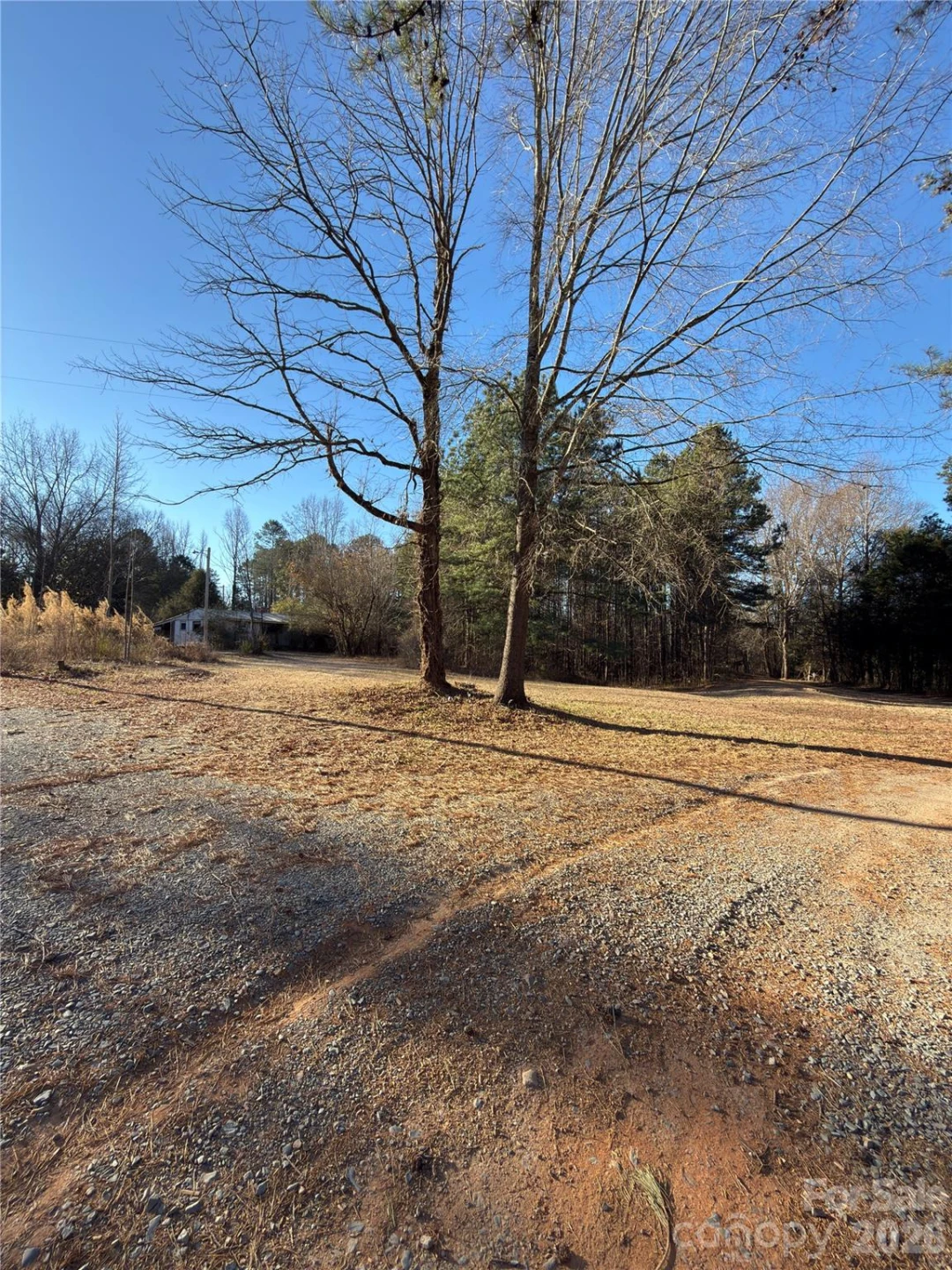 1232 Long Farm Lane - Photo 5
