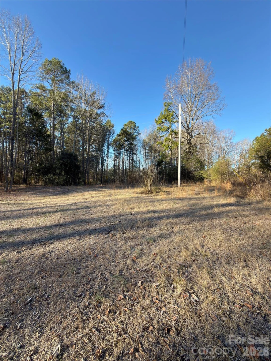1232 Long Farm Lane - Photo 7
