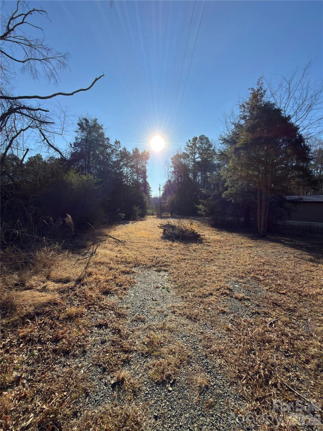 1232 Long Farm Lane - Photo 8