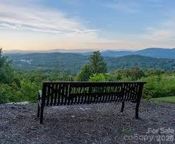 242 Carriage Summitt Way - Photo 34