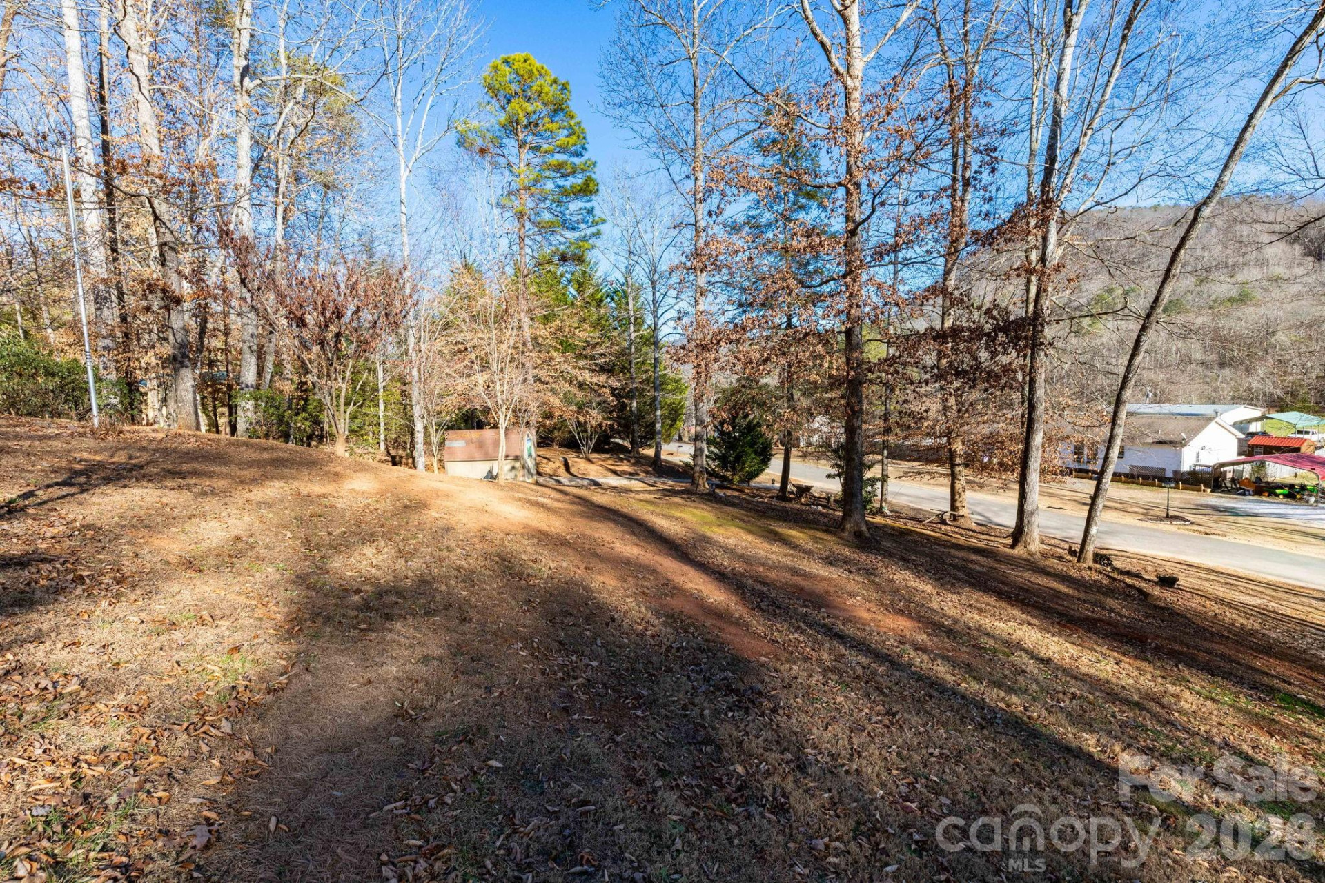 87 Hickory Nut Trace - Photo 22