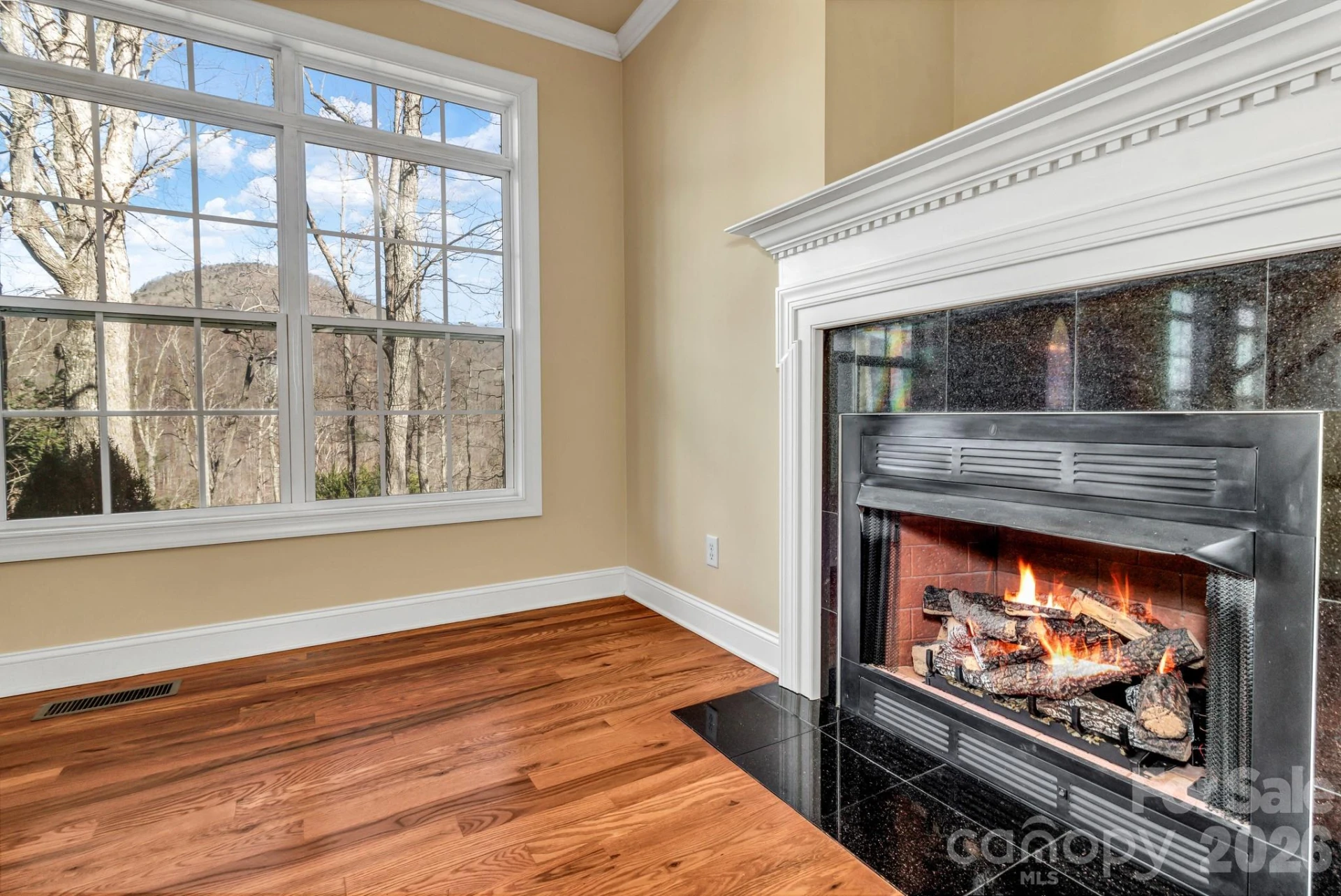 387 Goodview Drive - Photo 12