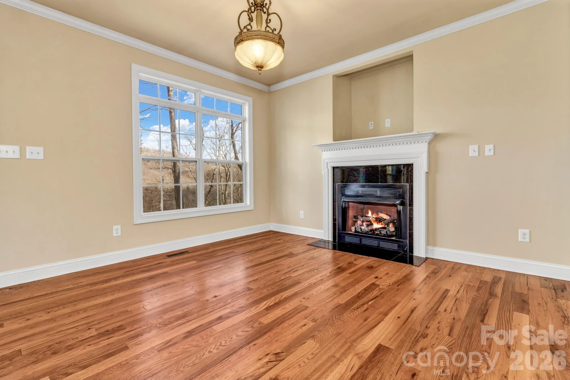 387 Goodview Drive - Photo 8