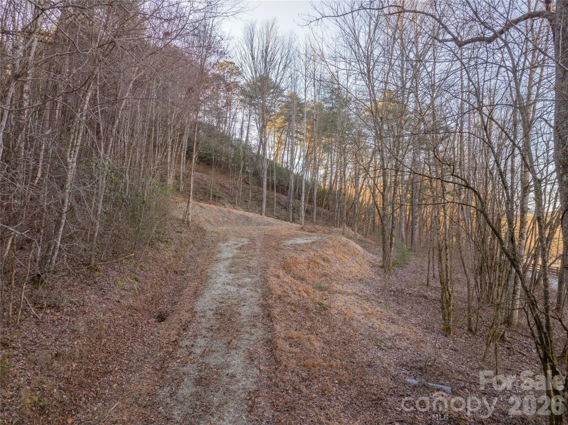 Lot 1 McCracken Road - Photo 2