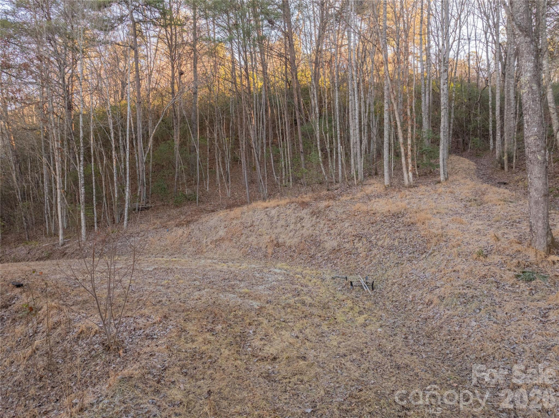 Lot 1 McCracken Road - Photo 3