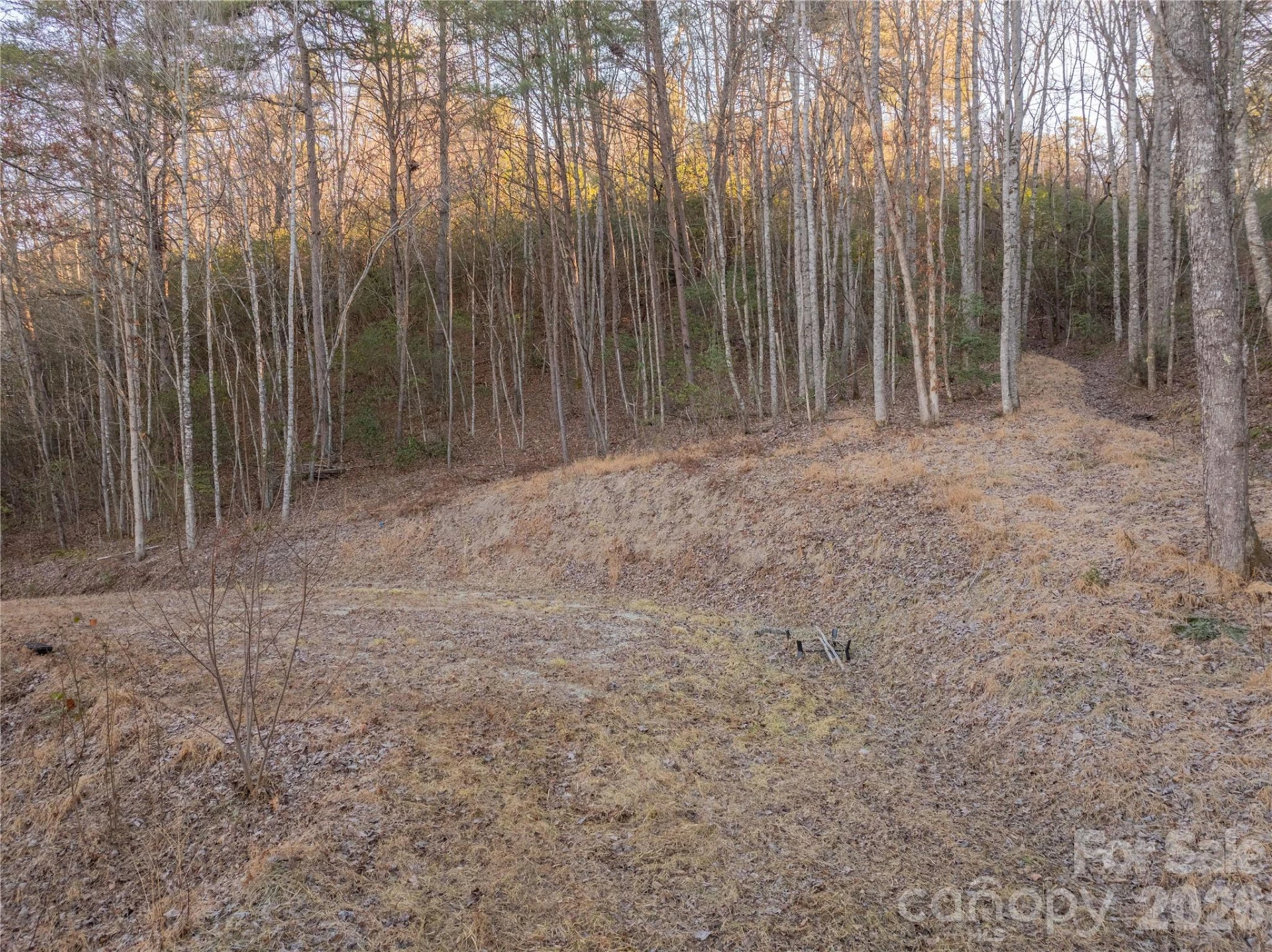 Lot 1 McCracken Road - Photo 3