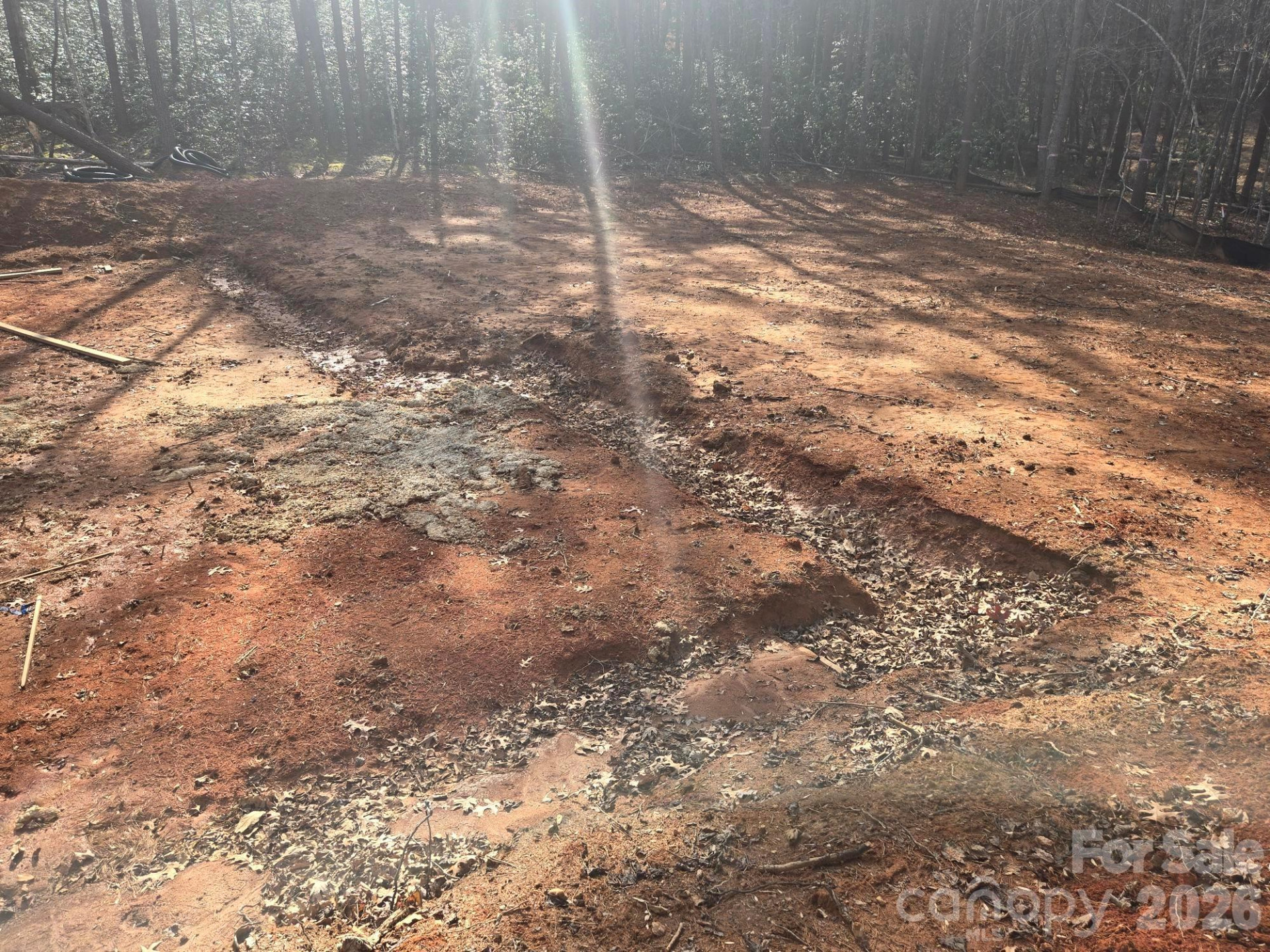 Lot 38 Dalton Court - Photo 8