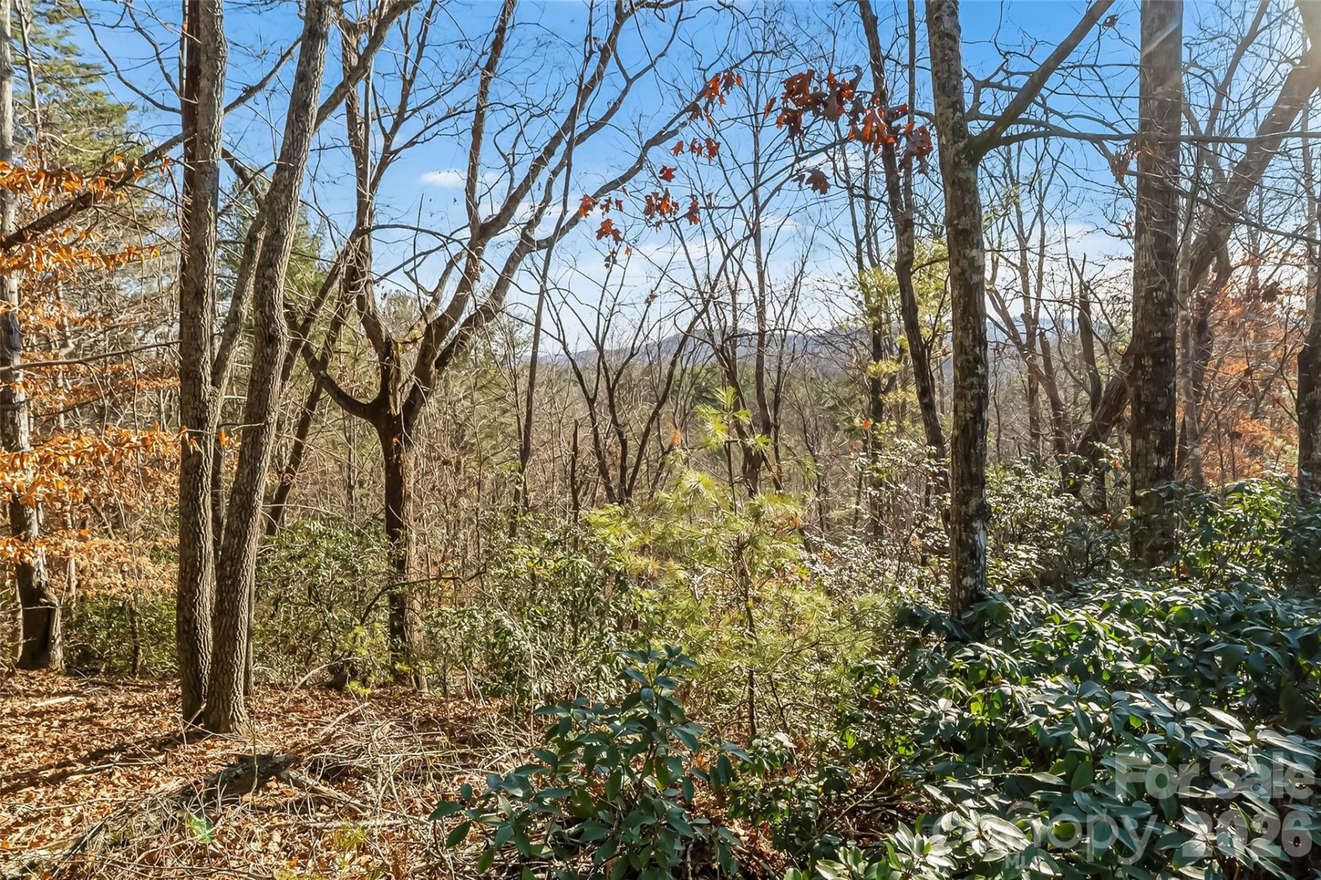 961 High Trail Drive #35-11 - Photo 11