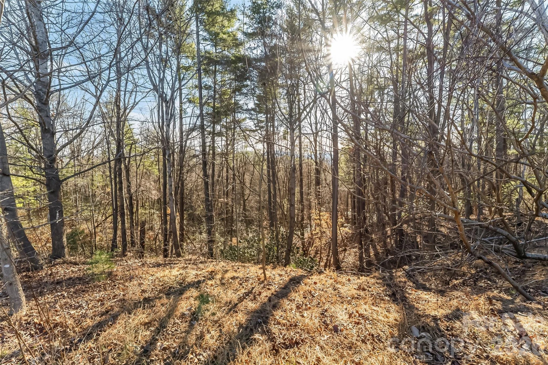 961 High Trail Drive #35-11 - Photo 12