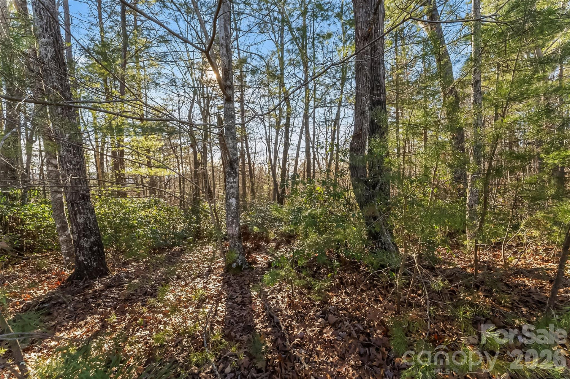 961 High Trail Drive #35-11 - Photo 15