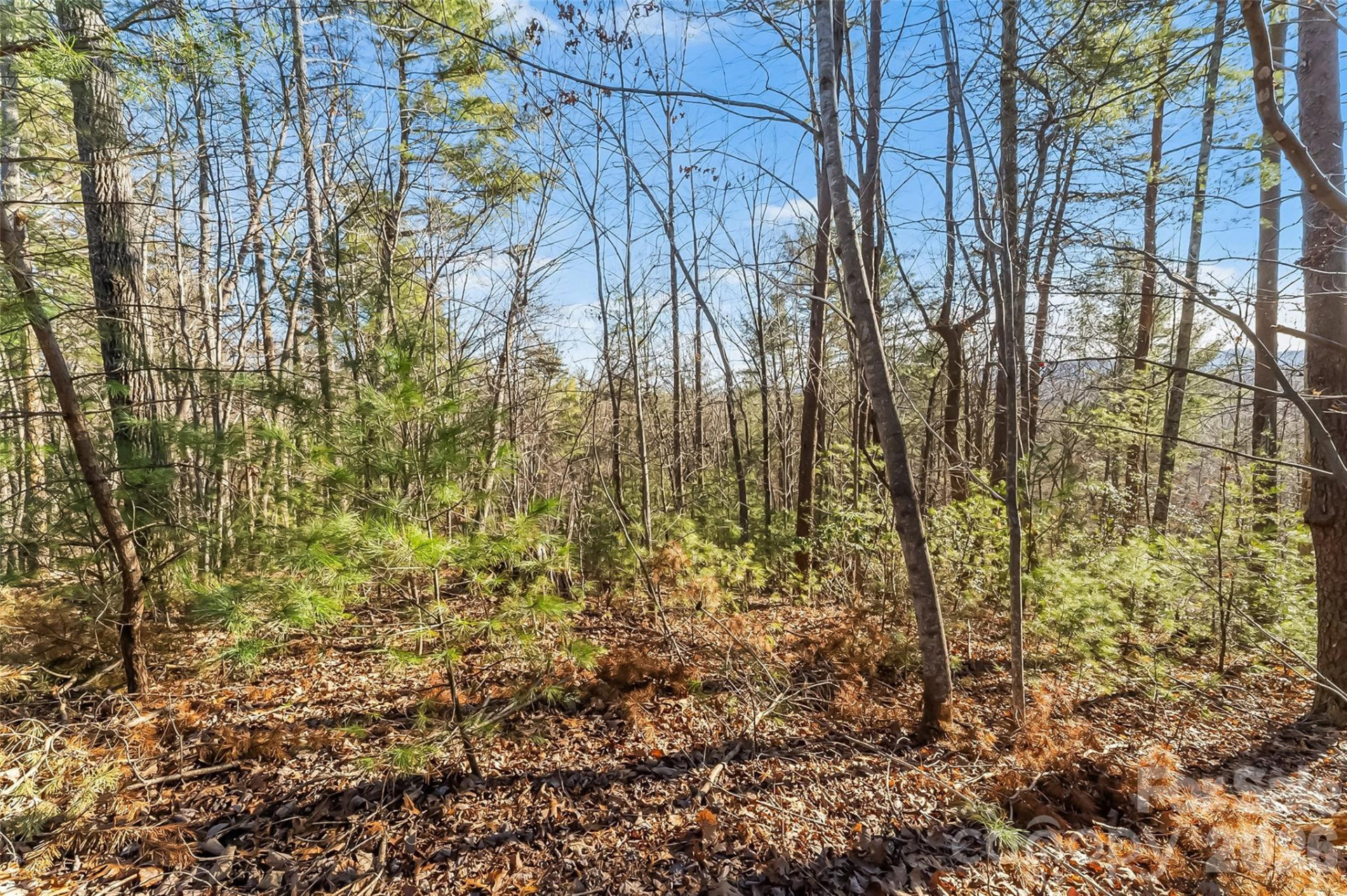 961 High Trail Drive #35-11 - Photo 7