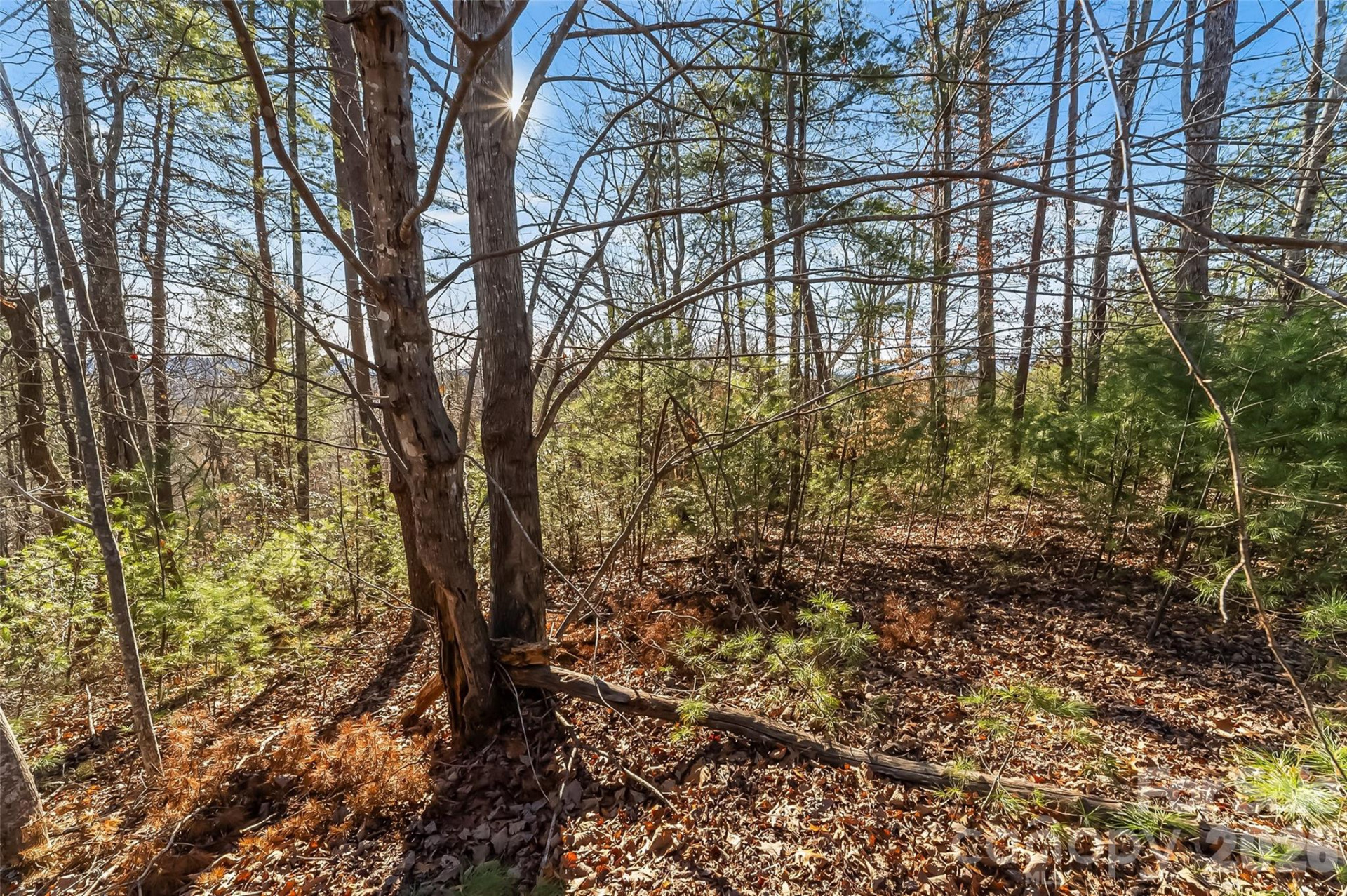 961 High Trail Drive #35-11 - Photo 8