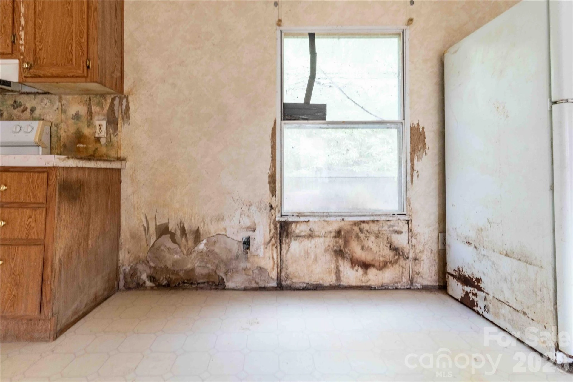 190 Pinewood Knoll Drive - Photo 6