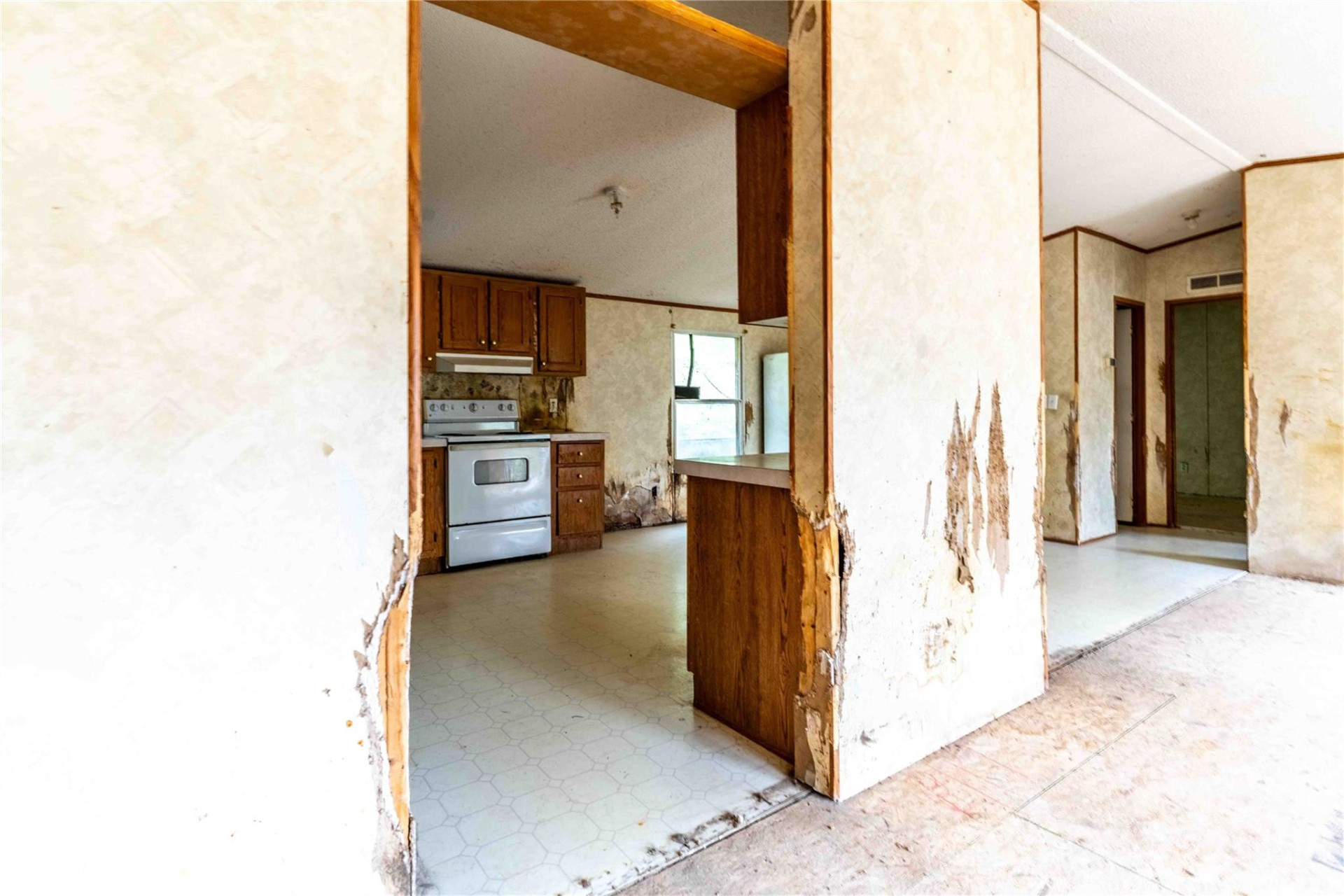 190 Pinewood Knoll Drive - Photo 8