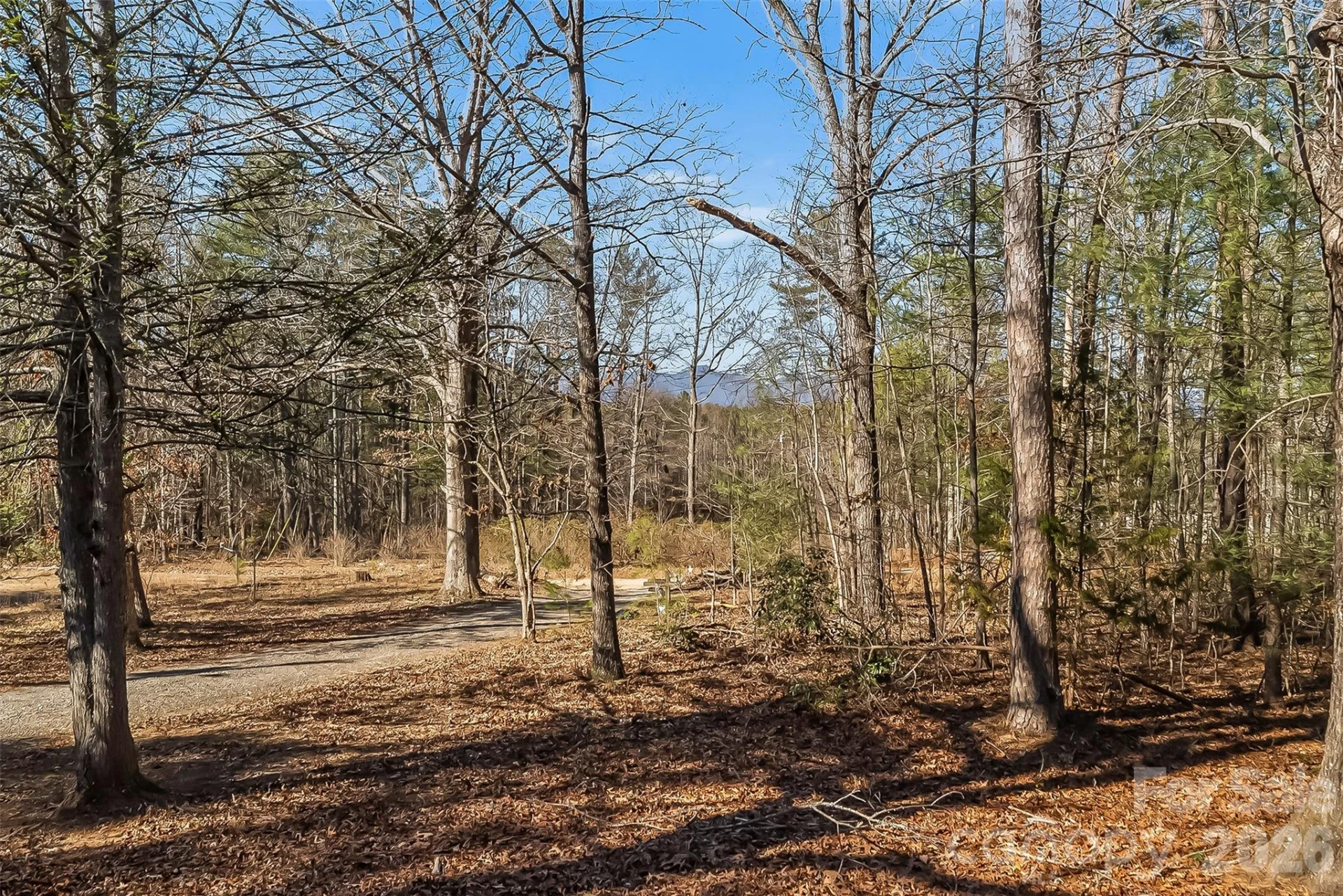 1446 Bridlewood Lane - Photo 21