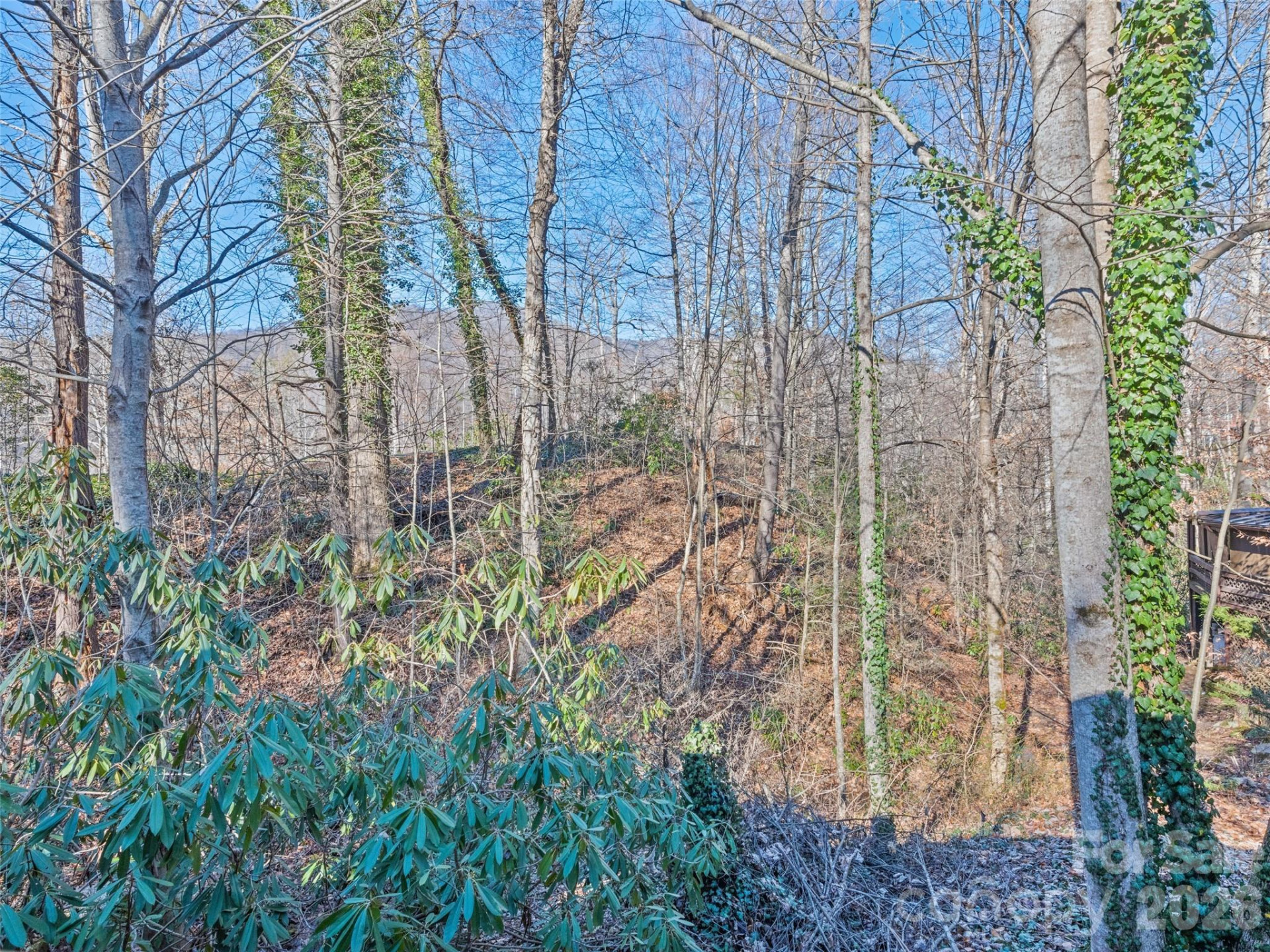 259 Hemlock Loop - Photo 11