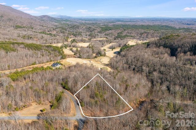 2049 Deep Gap Farm Road, Mill Spring, NC, 28756