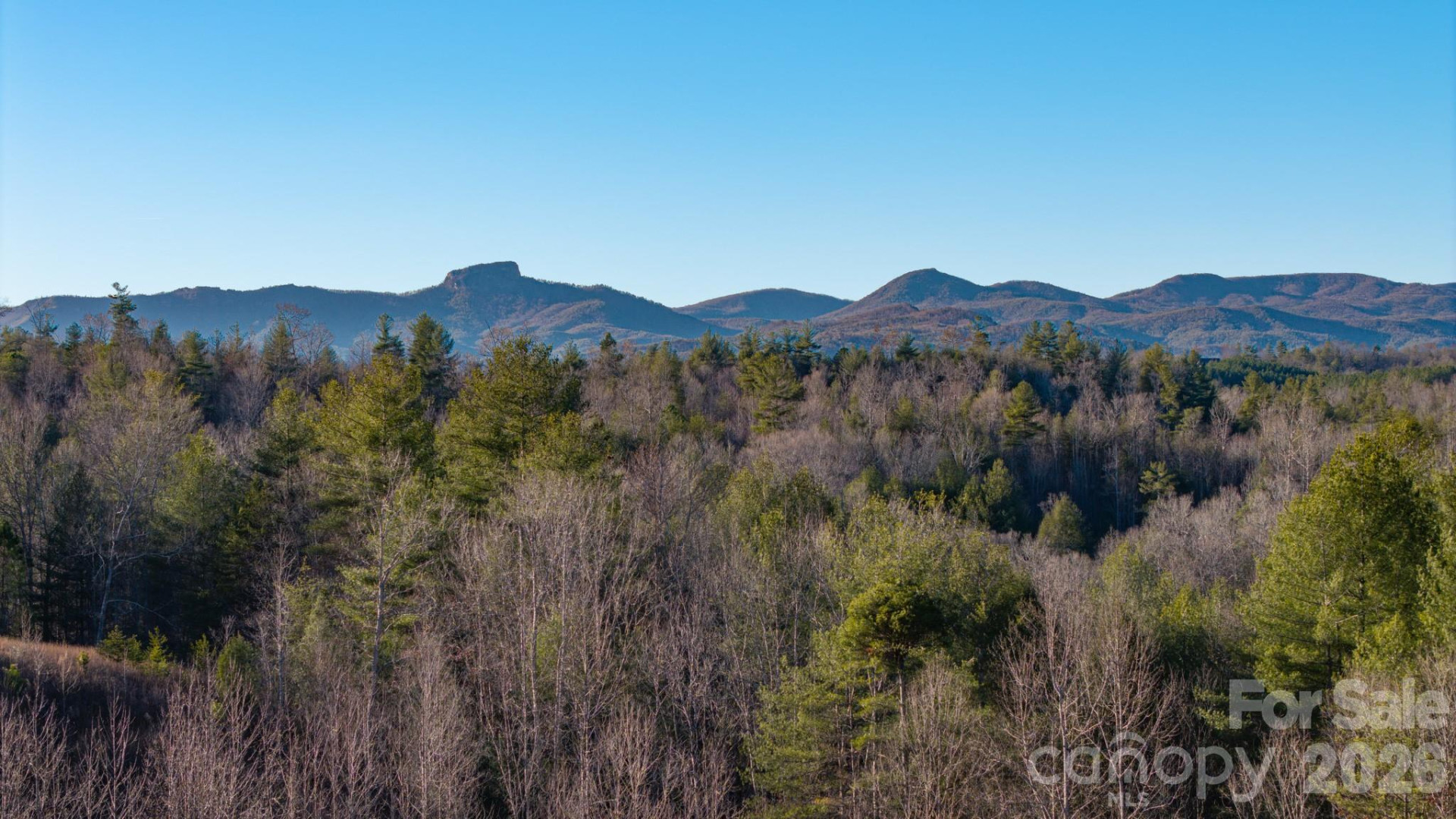 4021 & 4022 Johns River Road - Photo 11