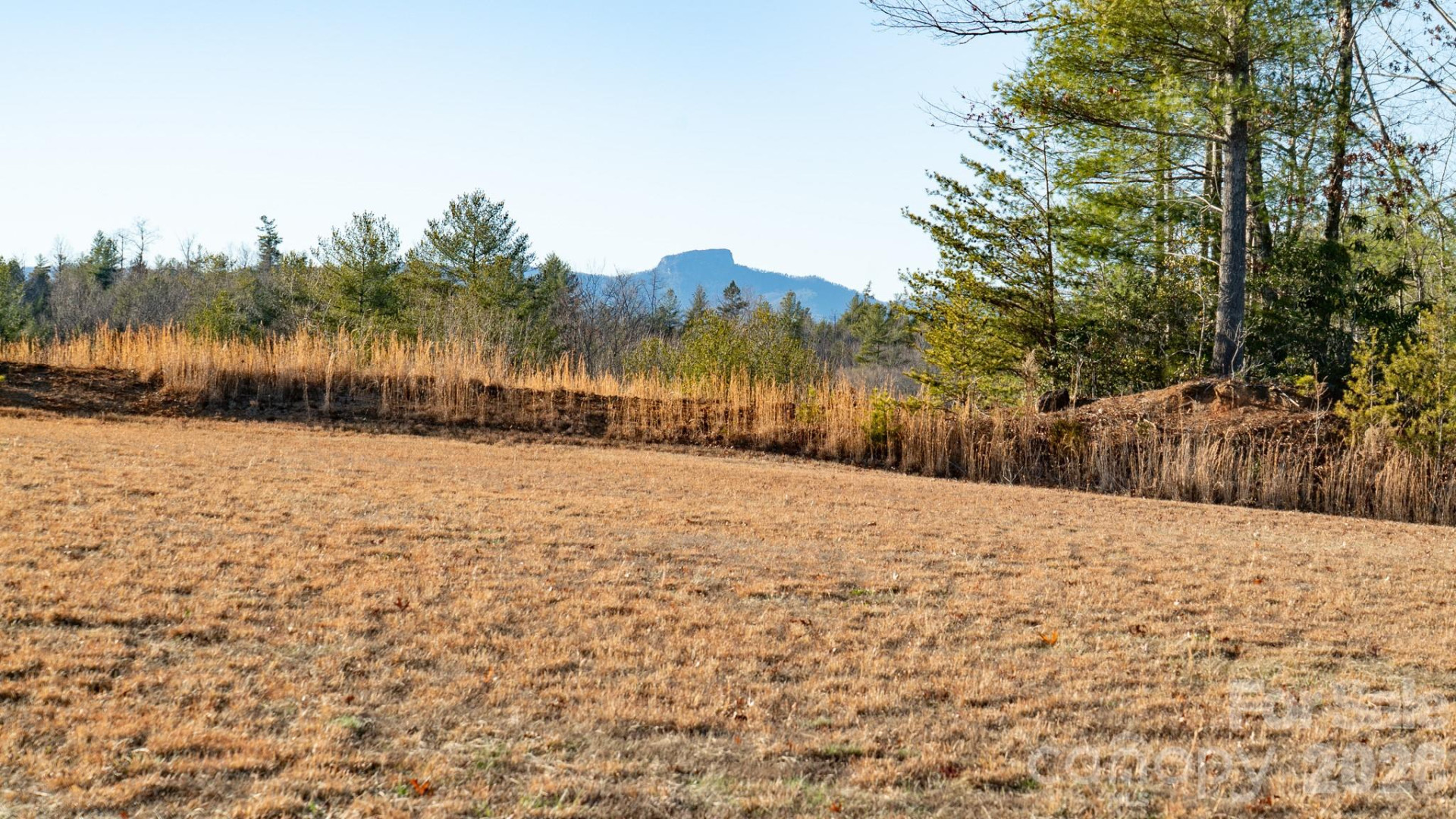 4021 & 4022 Johns River Road - Photo 8