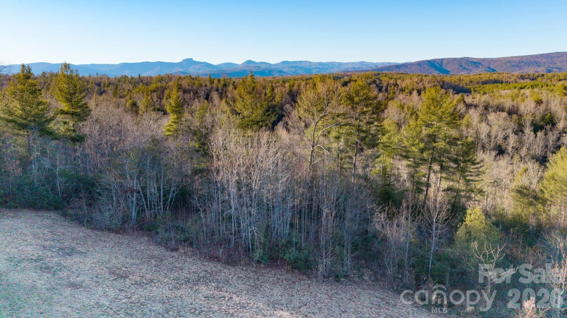 4021 & 4022 Johns River Road - Photo 9
