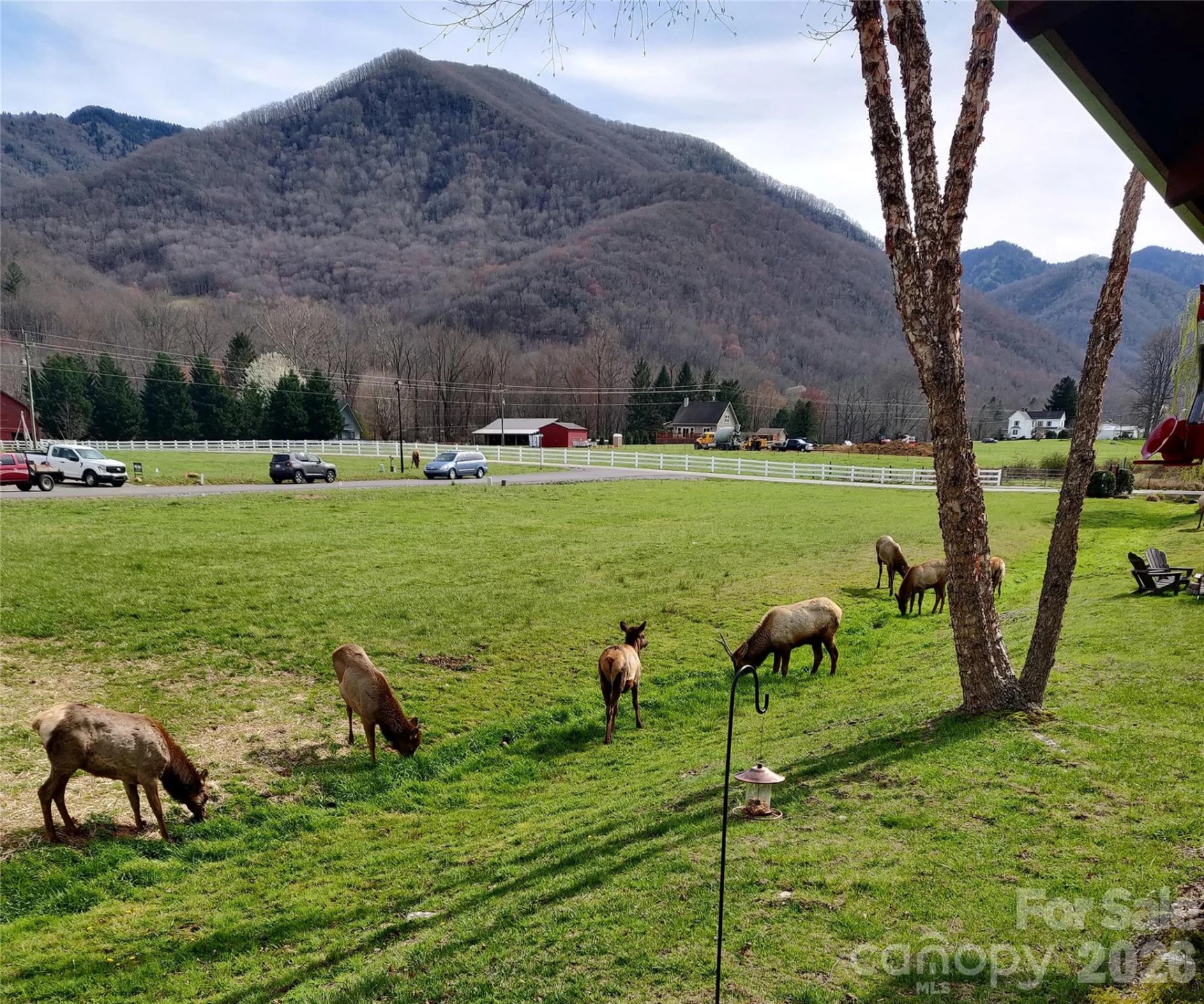 54 Meandering Way - Photo 30
