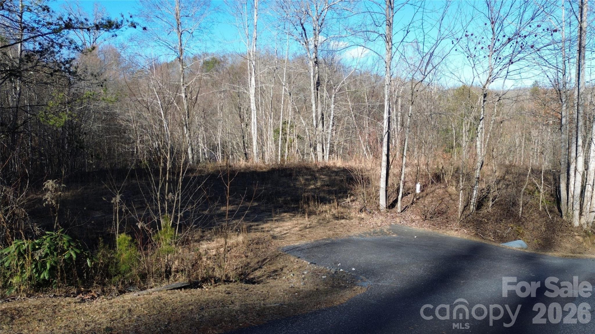 138 Fairlane Loop #19 - Photo 2