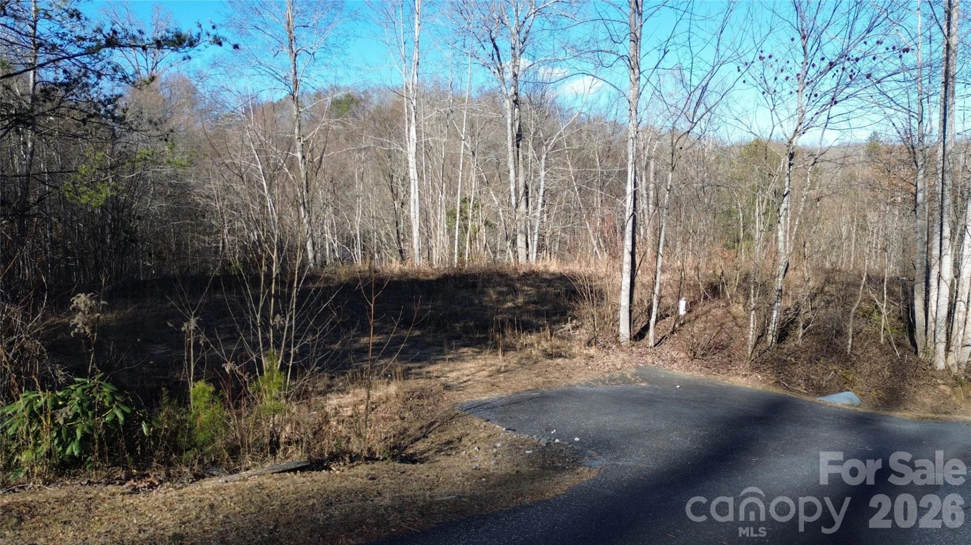 138 Fairlane Loop #19 - Photo 2