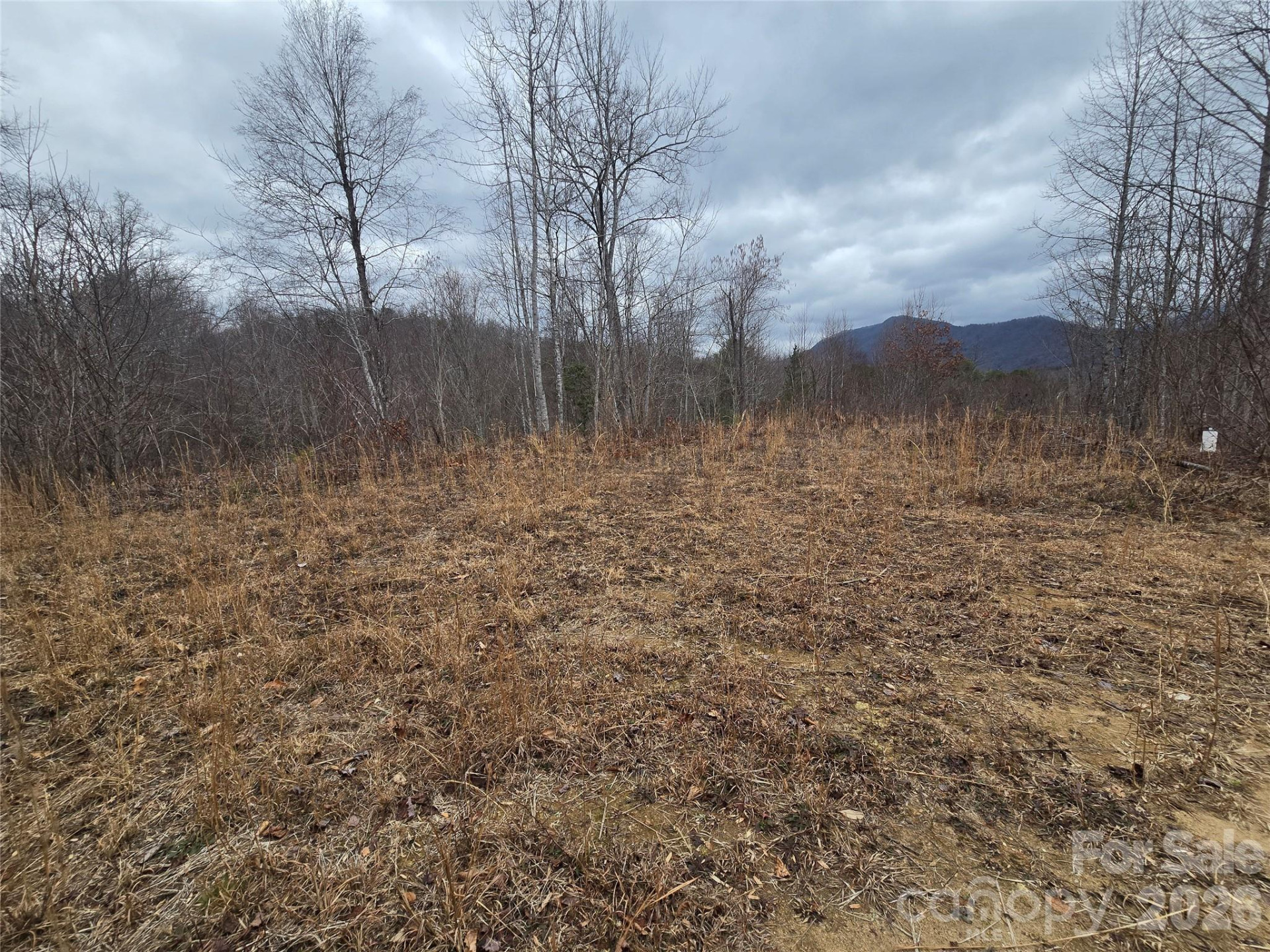 138 Fairlane Loop #19 - Photo 11