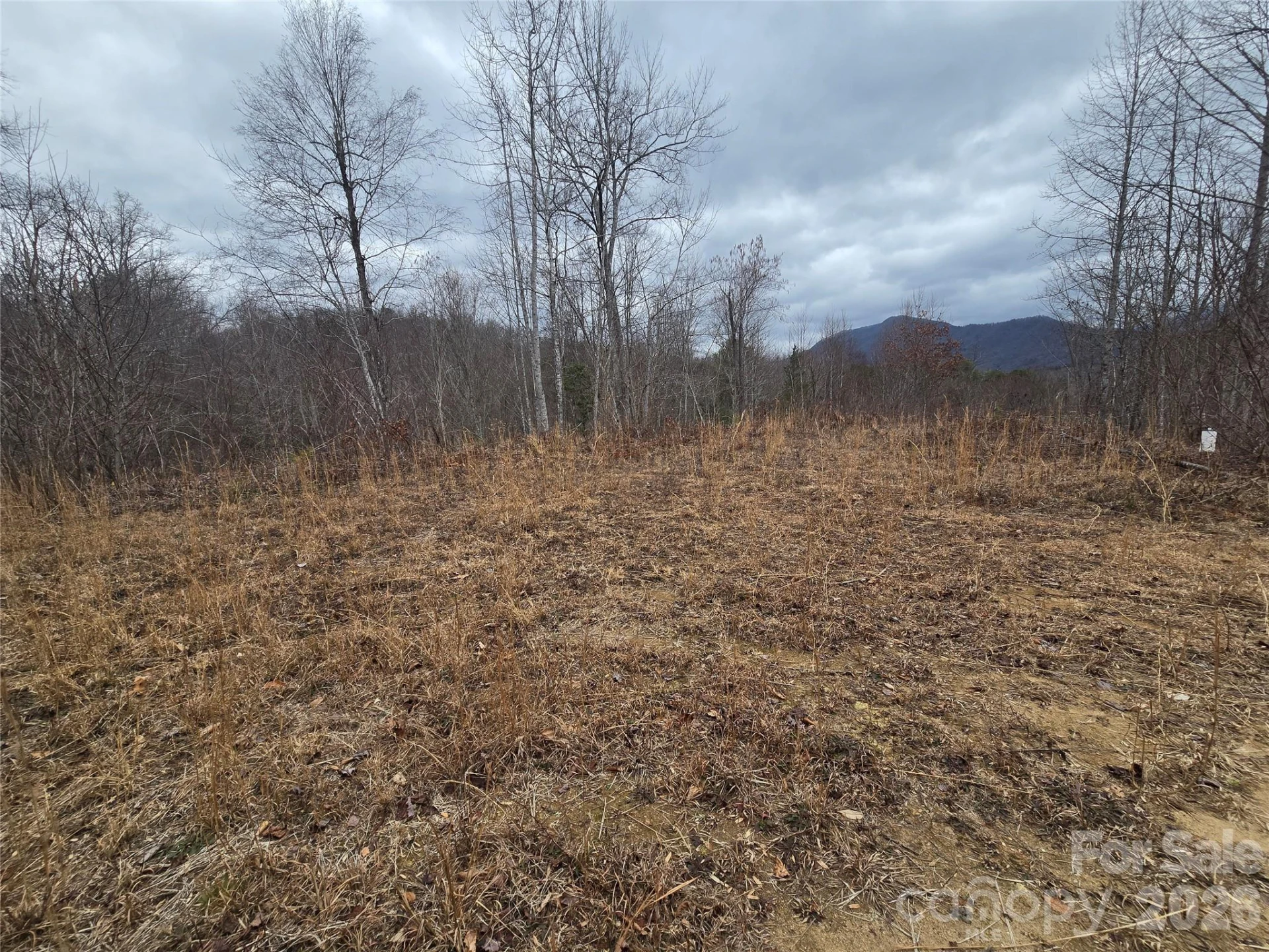 138 Fairlane Loop #19 - Photo 11