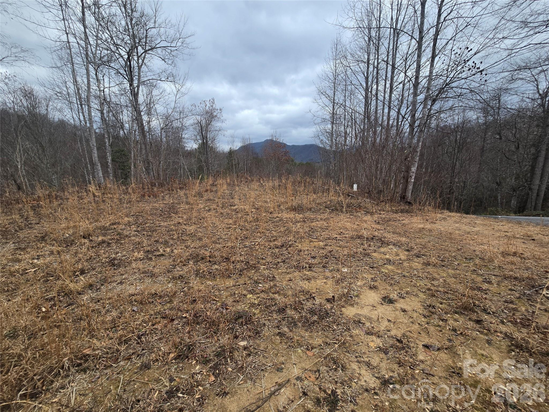 138 Fairlane Loop #19 - Photo 12