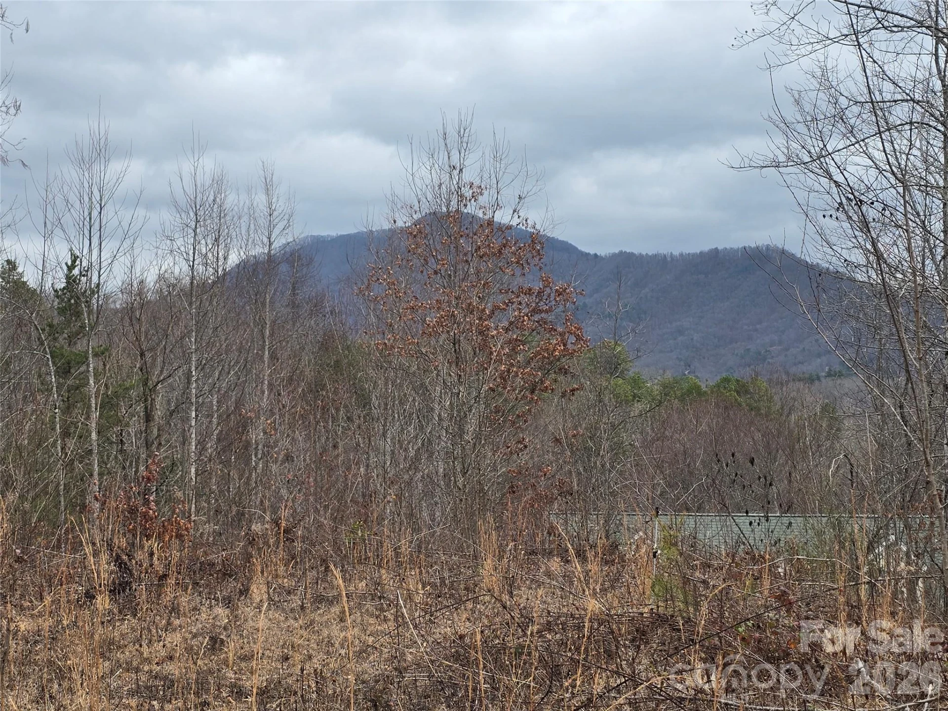 138 Fairlane Loop #19 - Photo 13