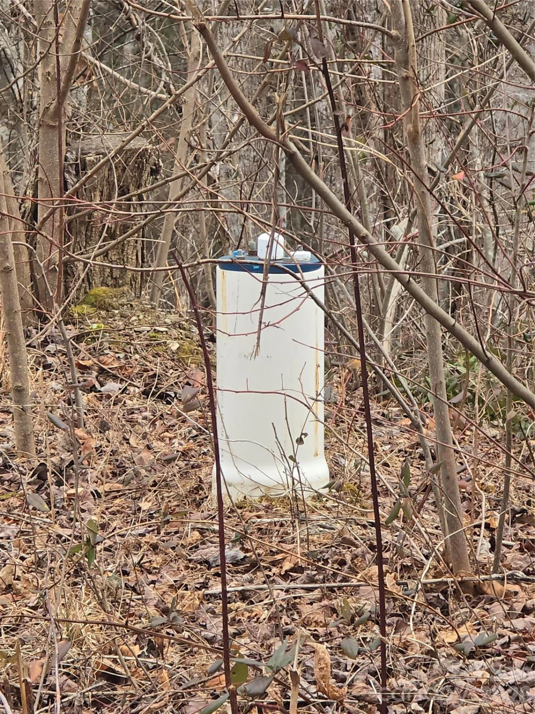 138 Fairlane Loop #19 - Photo 14